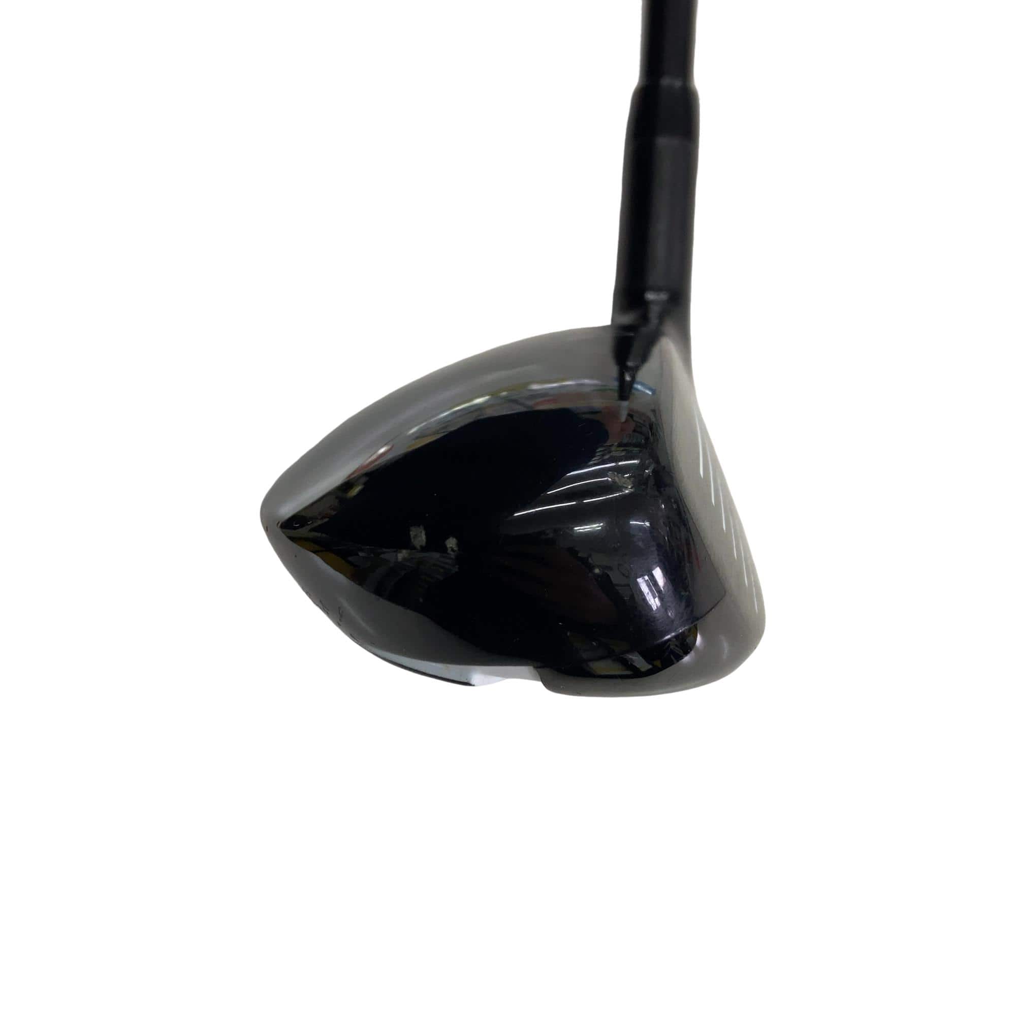 �w�Q�@�g�n�s�@�t�T