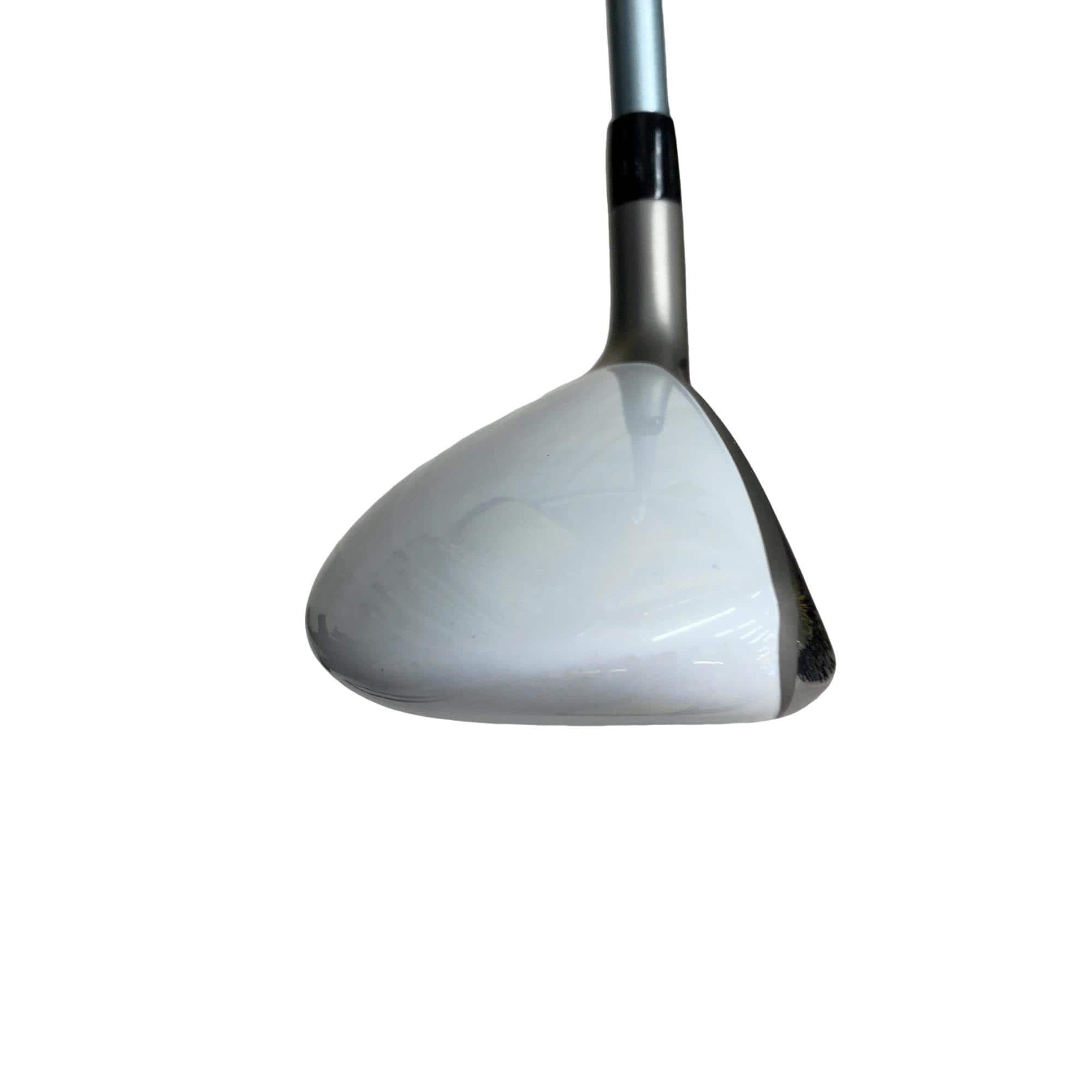 �a�q�|�w�@�t�T�@���f�B�[�X