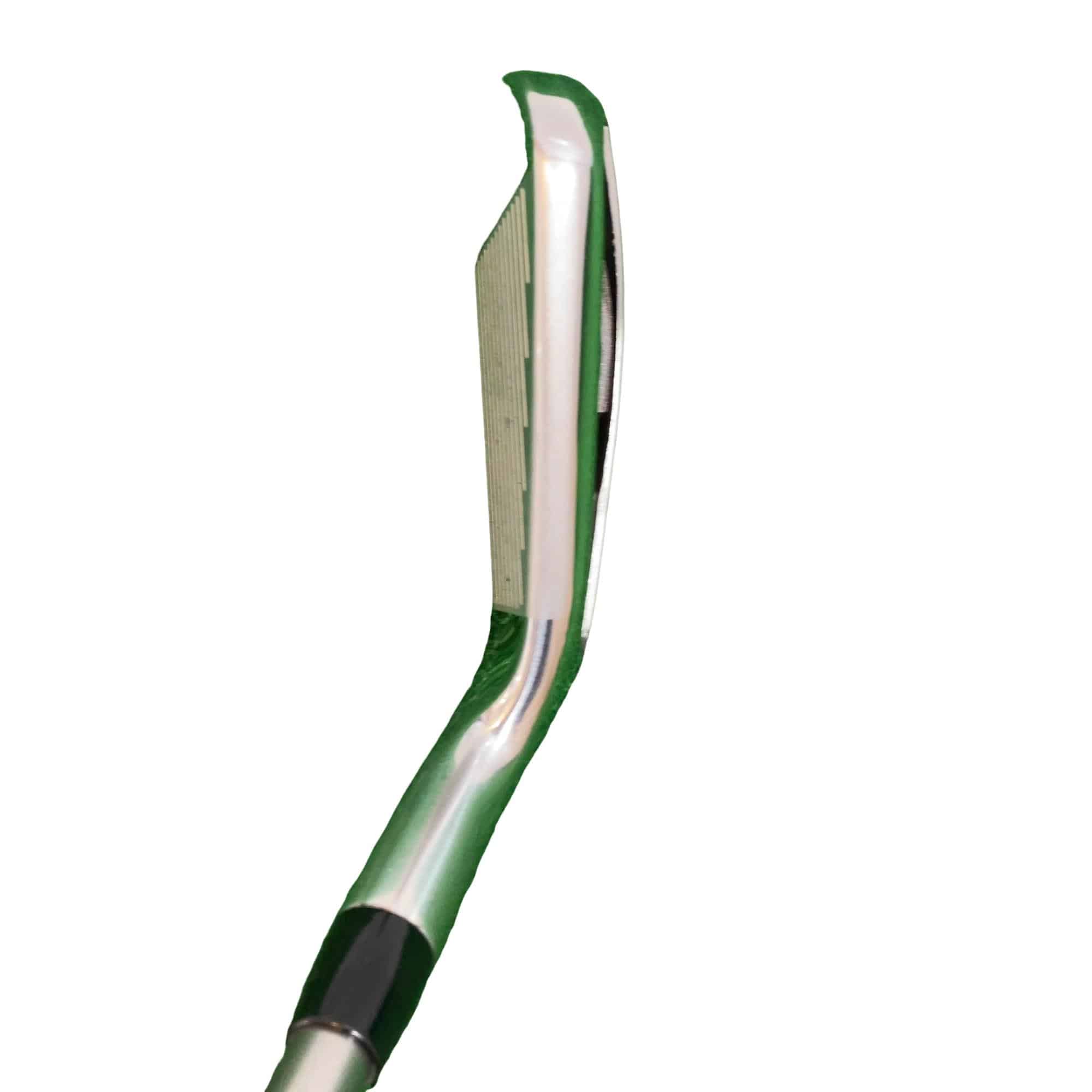 �s���������������@�s�R�O�O�i�Q�O�Q�P�j�@�T�r�i���{���F�T�{�Z�b�g�j