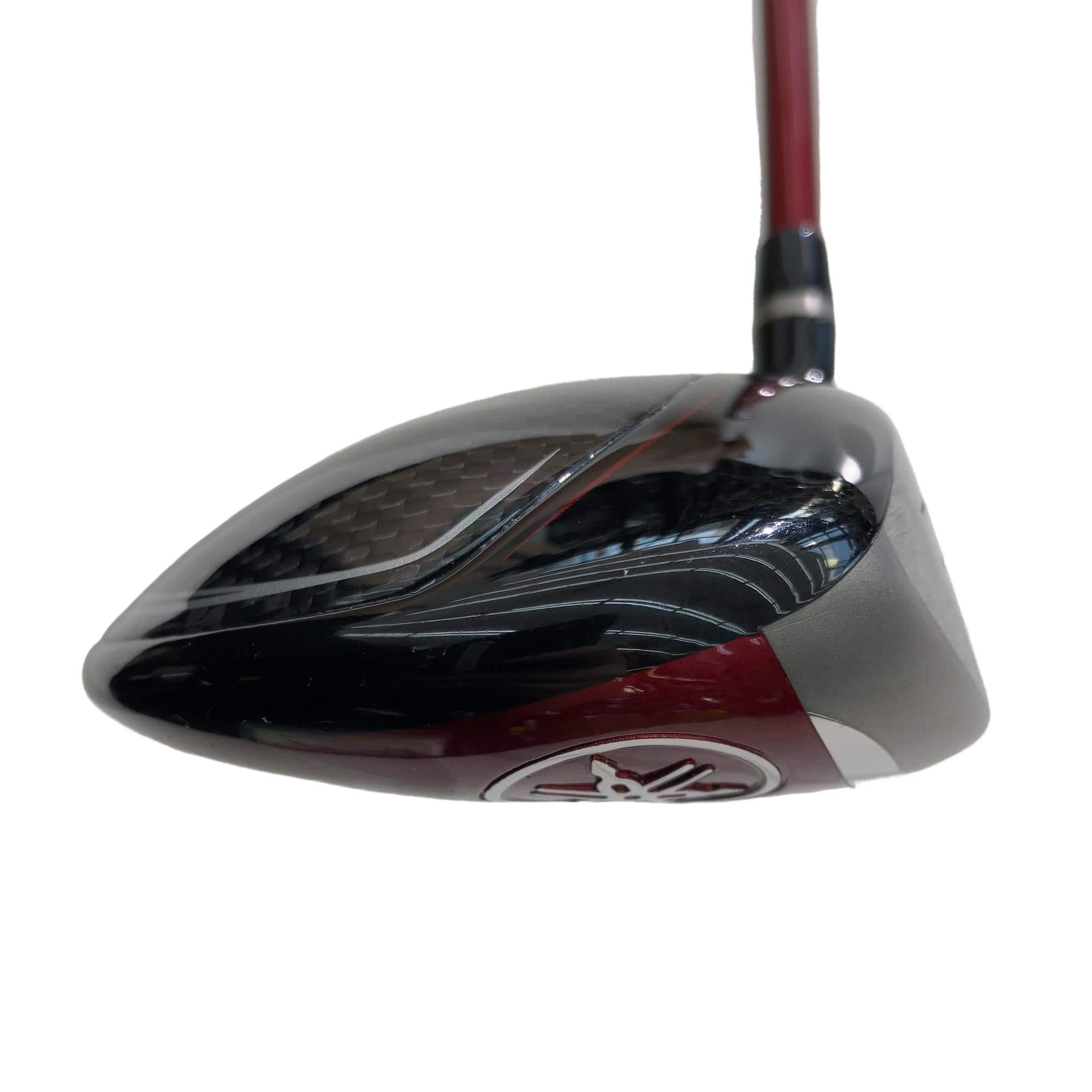 �q�l�w�@�u�c�@�T�v