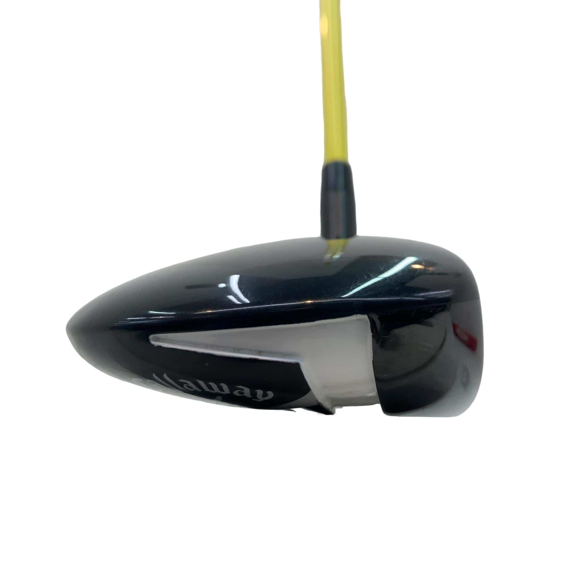 �w�Q�@�g�n�s�@�o�q�n�@�P�T°