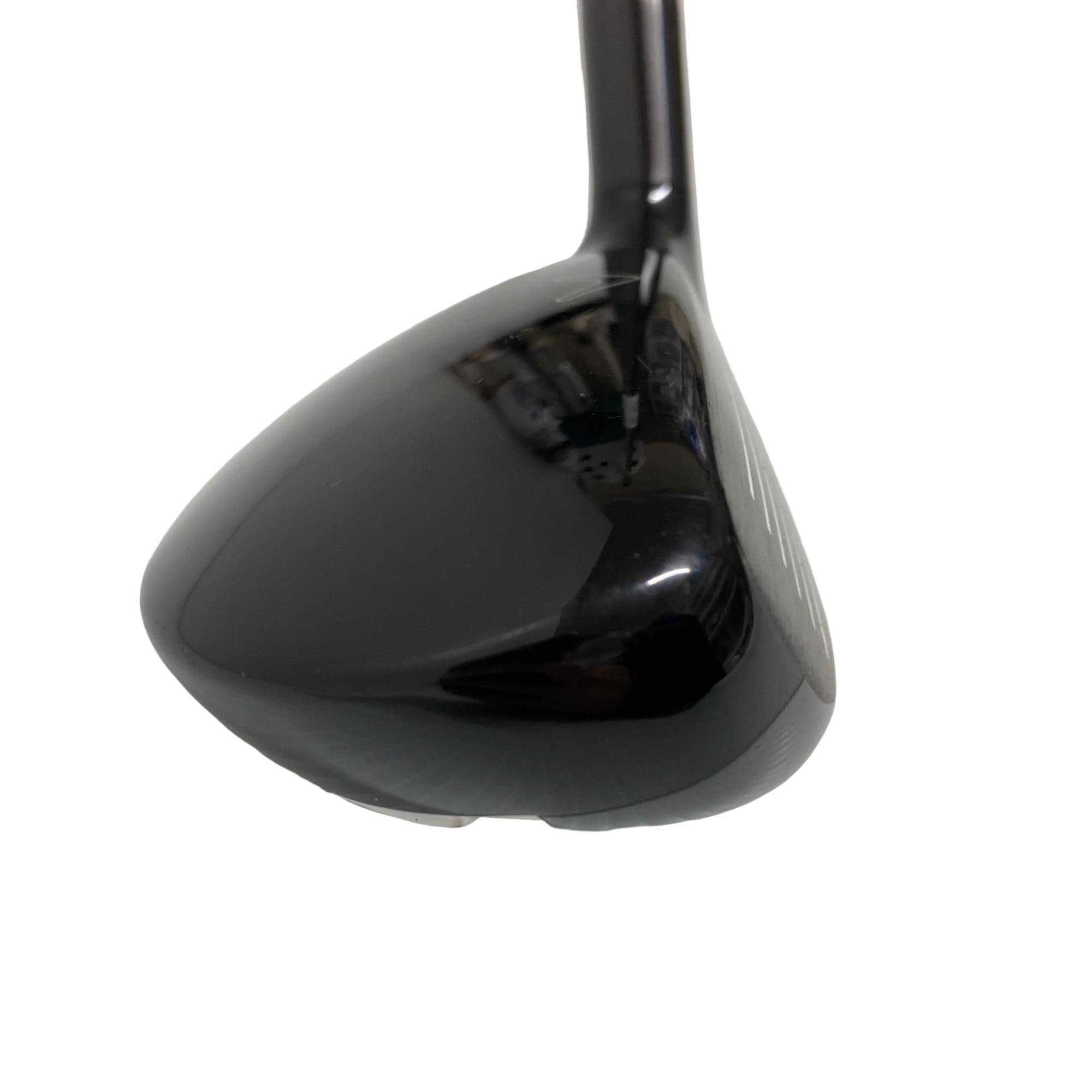 �w�Q�@�g�n�s�@�t�S