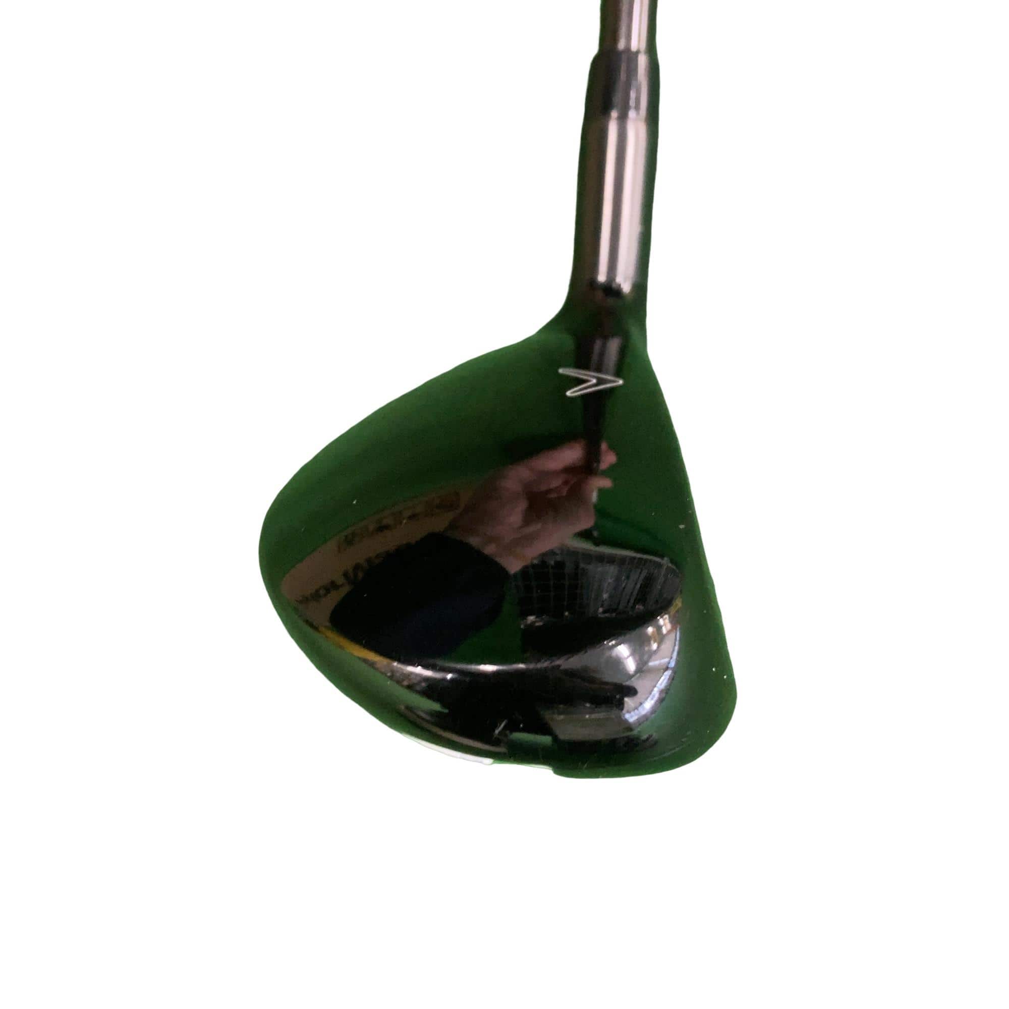 �w�Q�@�g�n�s�@�t�S