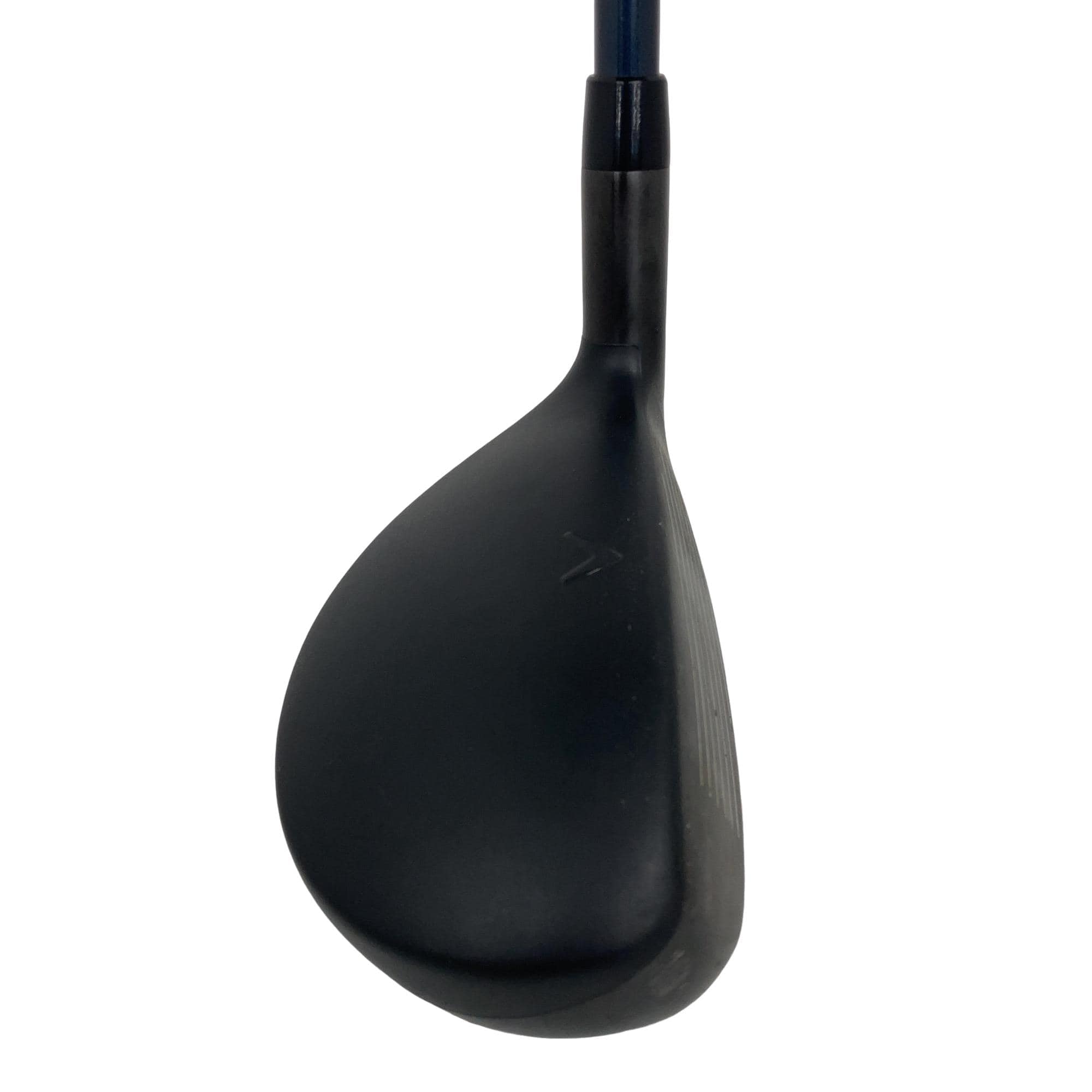 �w�q�@�P�U�@�n�r�@�t�S