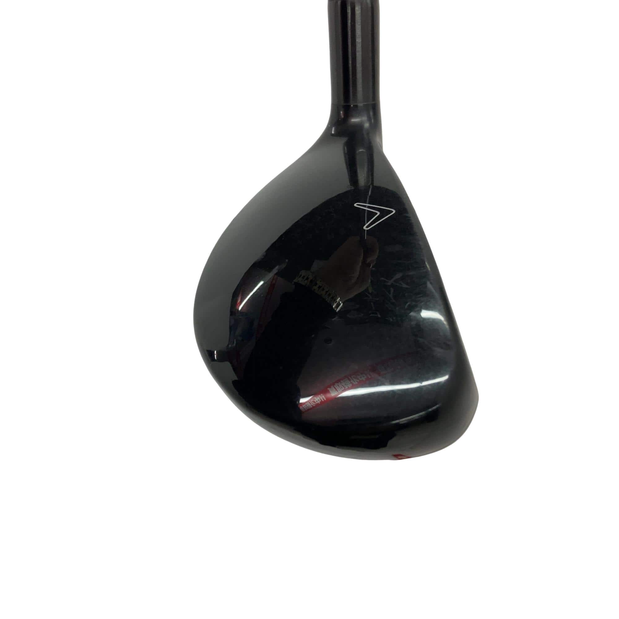 �w�Q�@�g�n�s�@�t�S