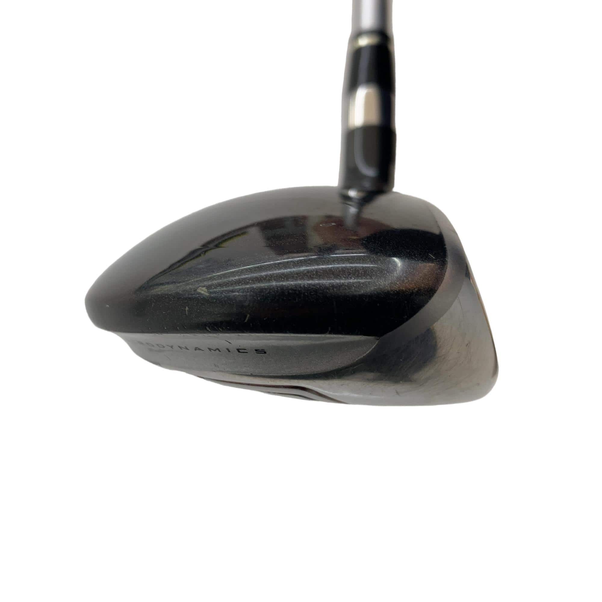 �u�q�Q�r�@���[�e�B���e�B�@�t�S�@�t�r�`