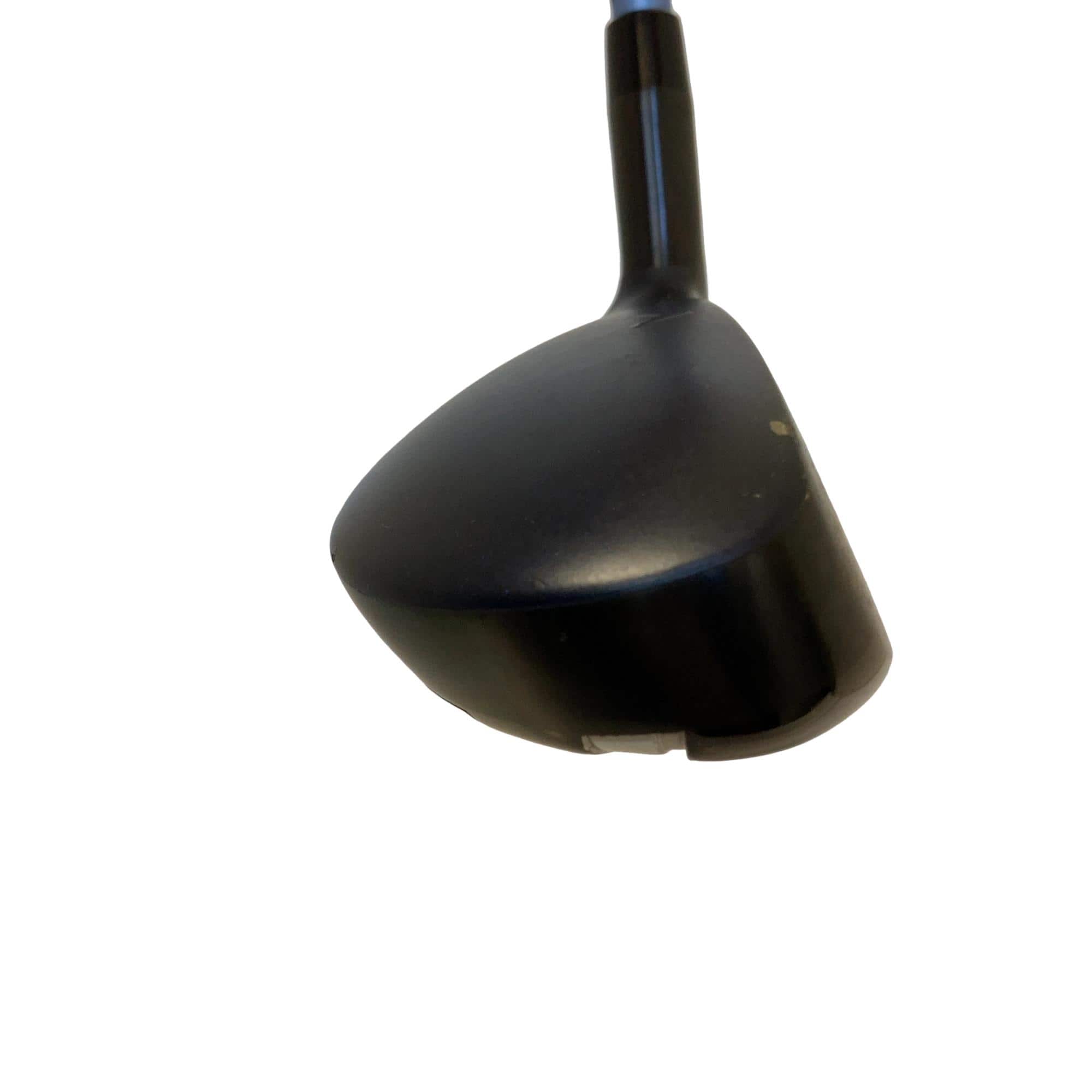 �w�q�@�t�T�@���f�B�[�X