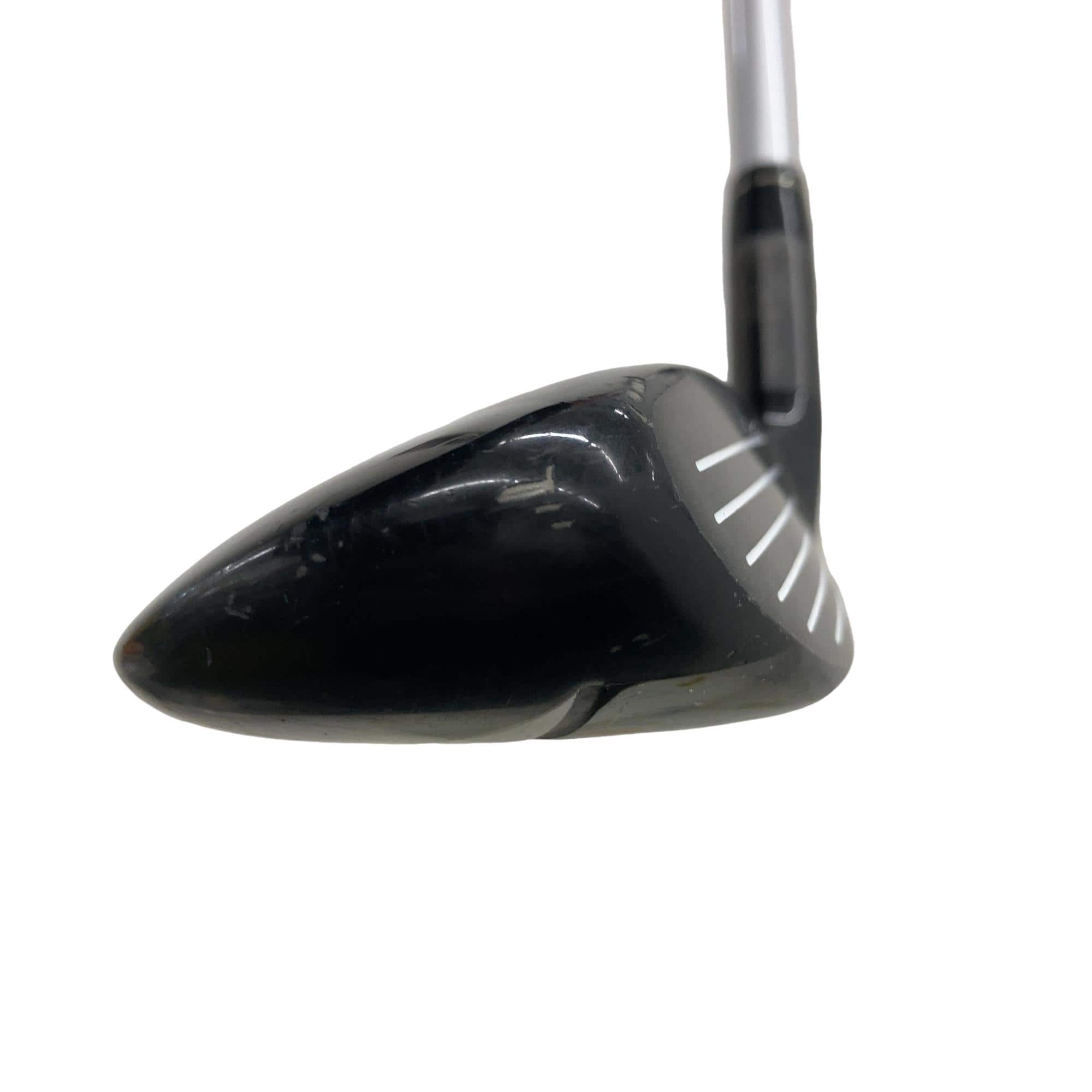 �w�@�g�n�s�@�t�S