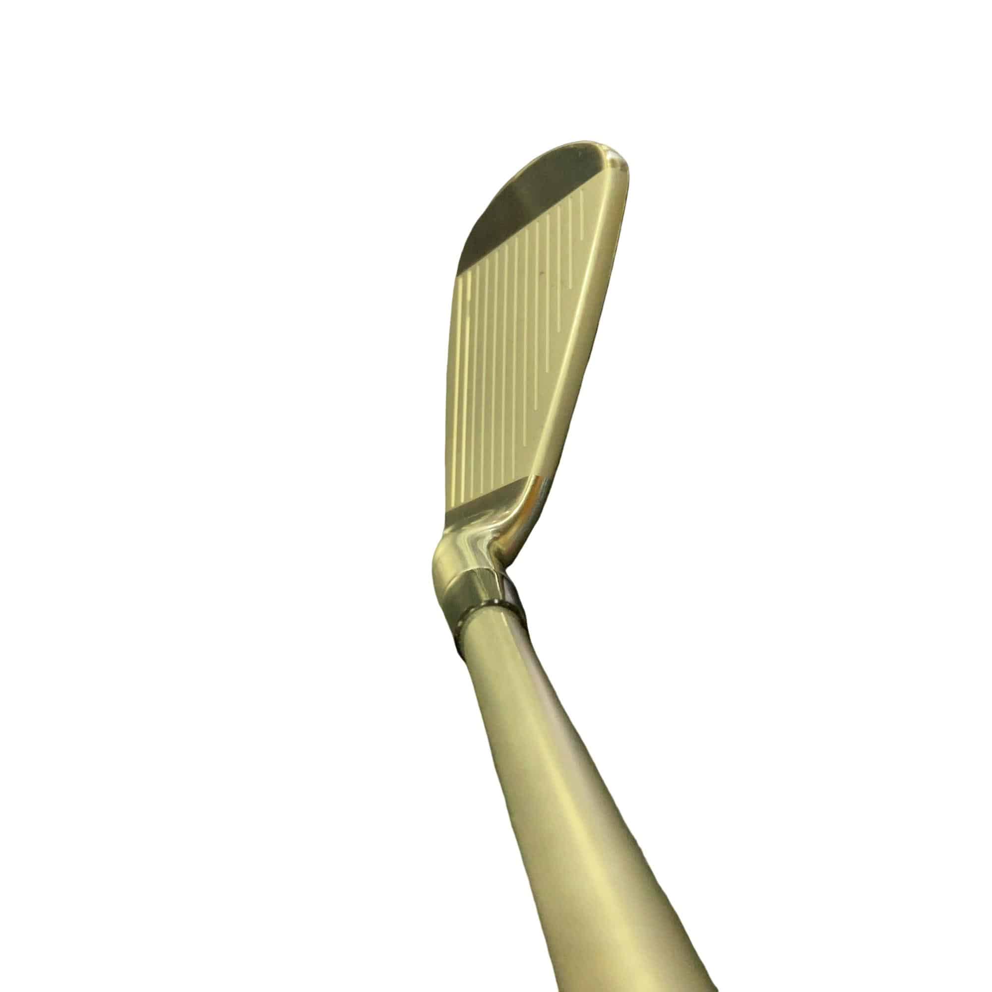 �s�n�t�q�@�a�@�i�f�q�@�g�e�R�i�Q�O�P�X�j�@�T�r�i���{���F�T�{�Z�b�g�j