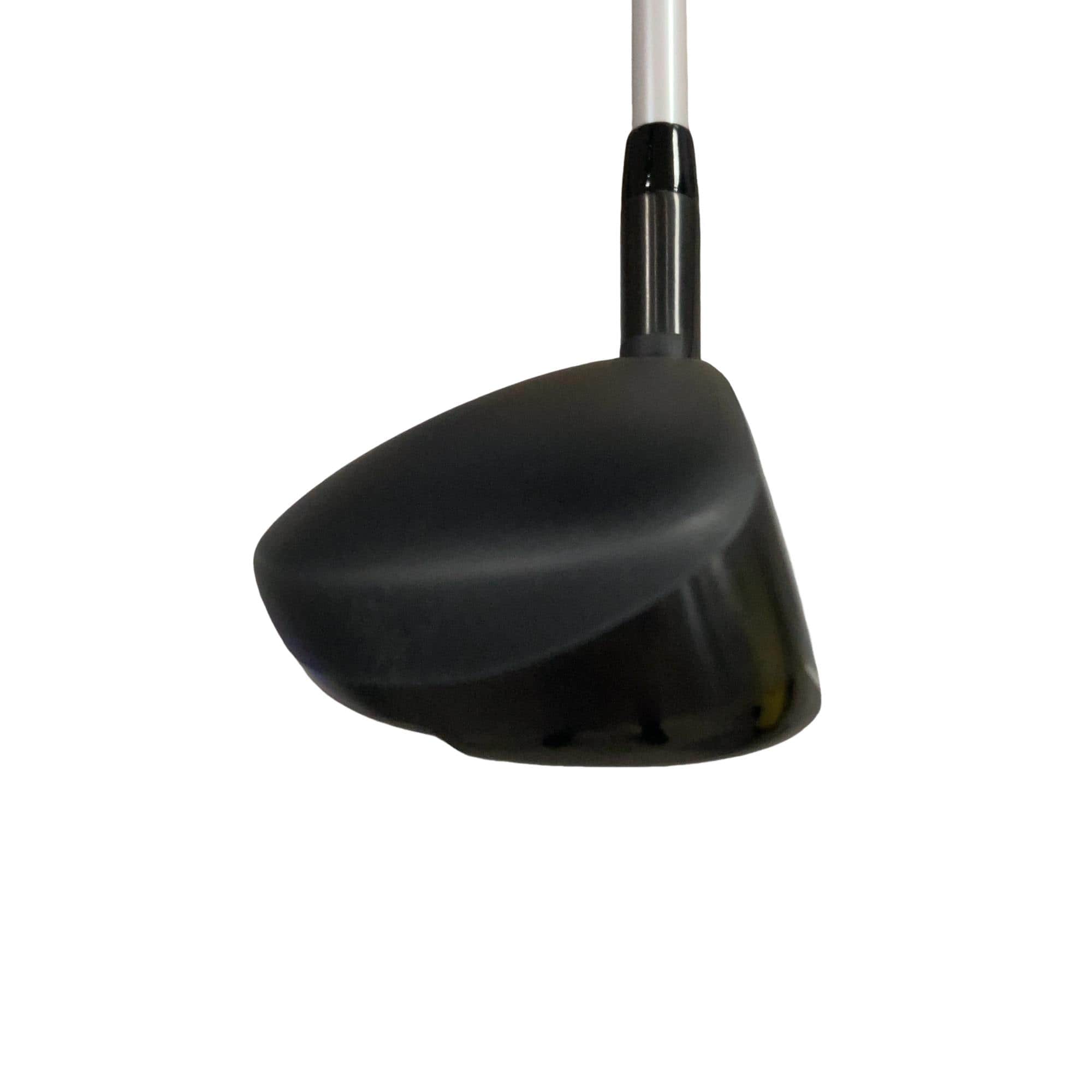 �w�q�@�P�U�@�n�r�@�t�R