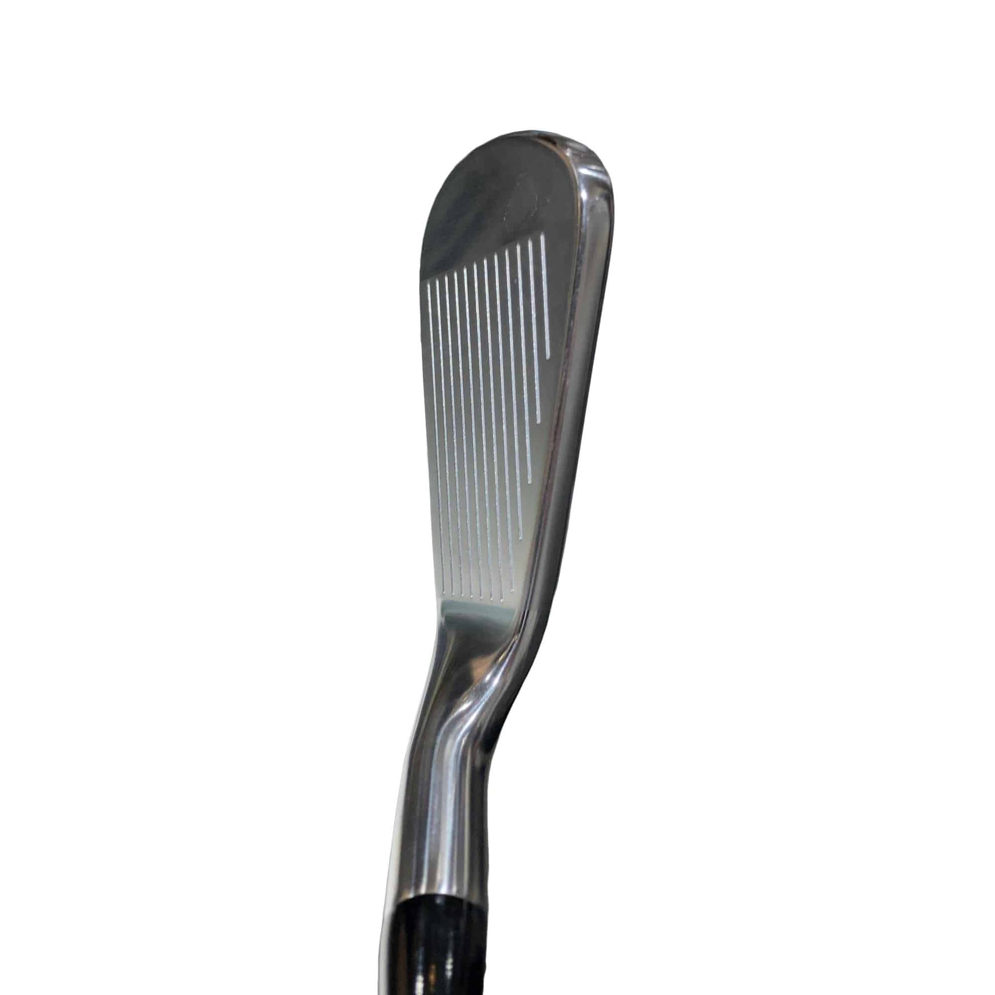 �s���������������@�s�Q�O�O�@�T�r�i���{���F�S�{�Z�b�g�j