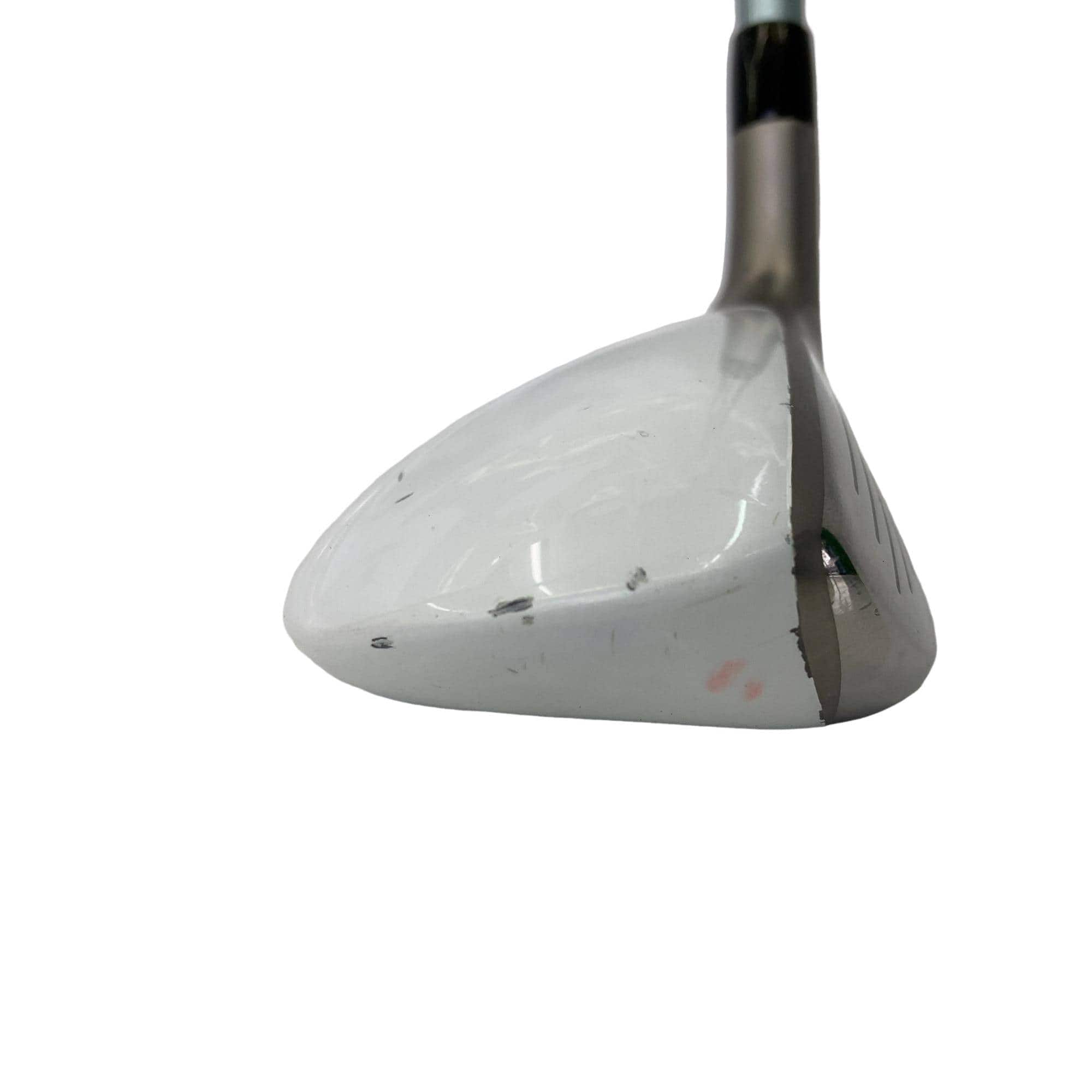 �a�q�|�w�@�t�T�@���f�B�[�X