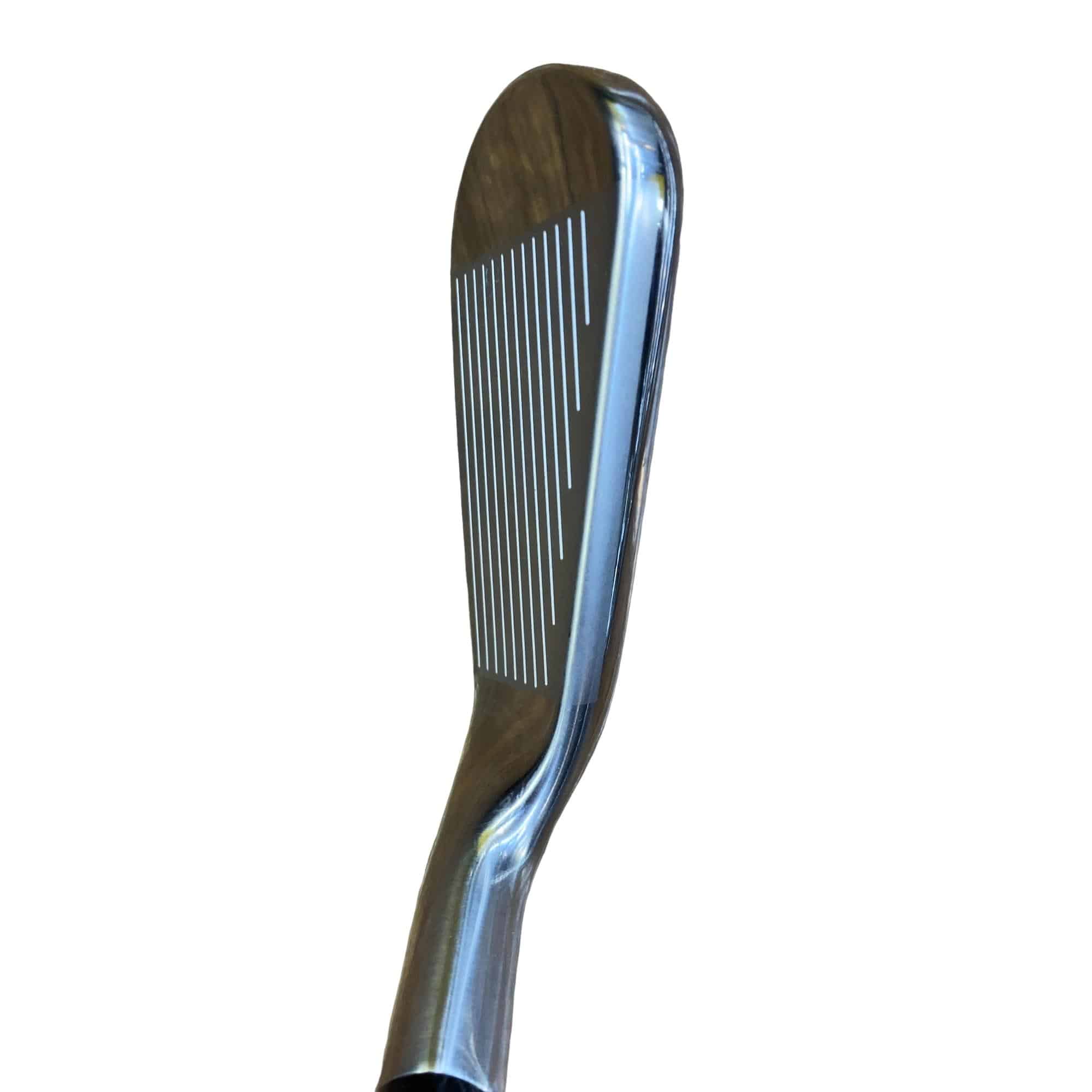 �s���������������@�s�R�O�O�i�Q�O�Q�P�j�@�U�r�i���{���F�U�{�Z�b�g�j