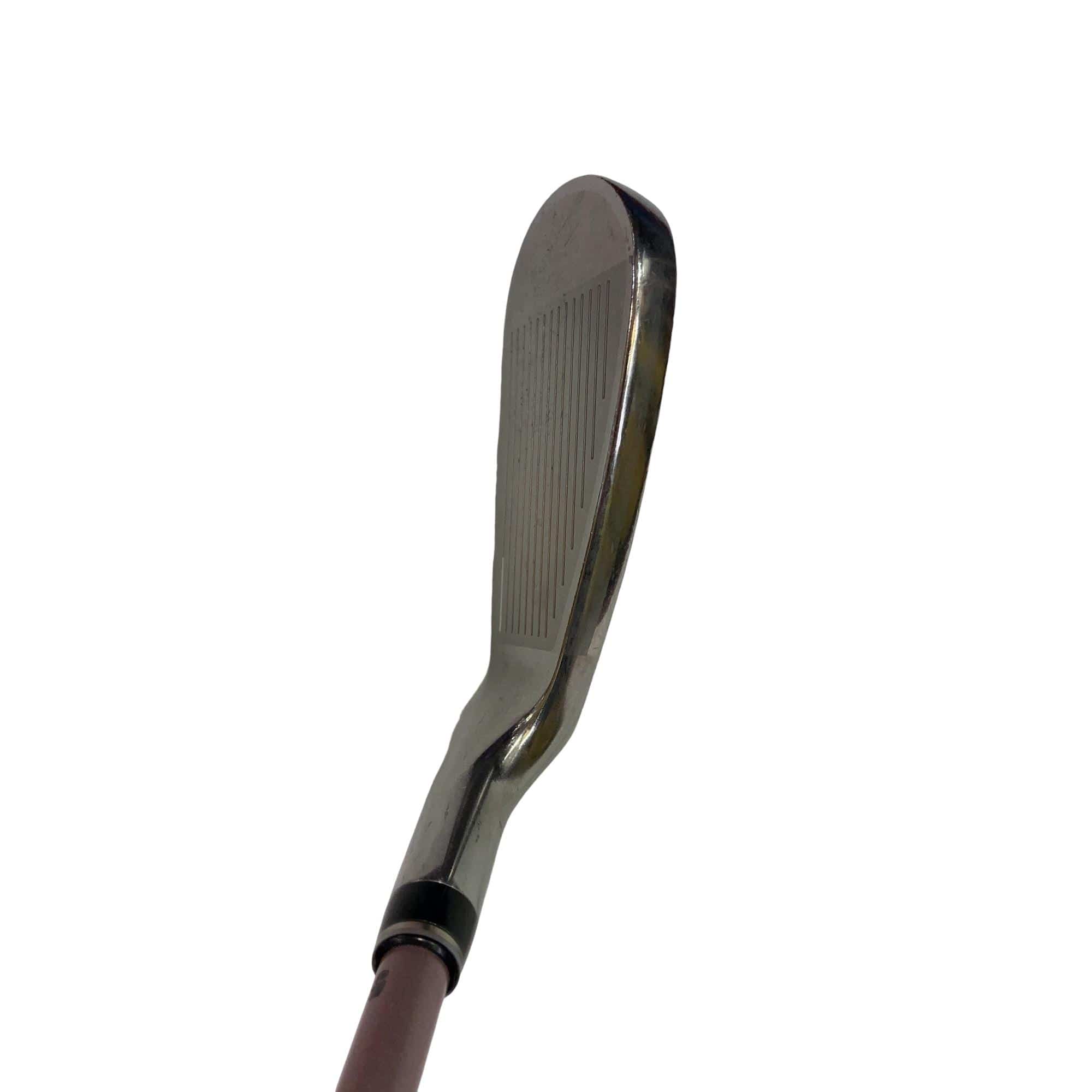 �w�w�h�n�i�Q�O�P�W�j�@�T�r�i�{���h�[�j�@���f�B�[�X�i���{���F�T�{�Z�b�g�j