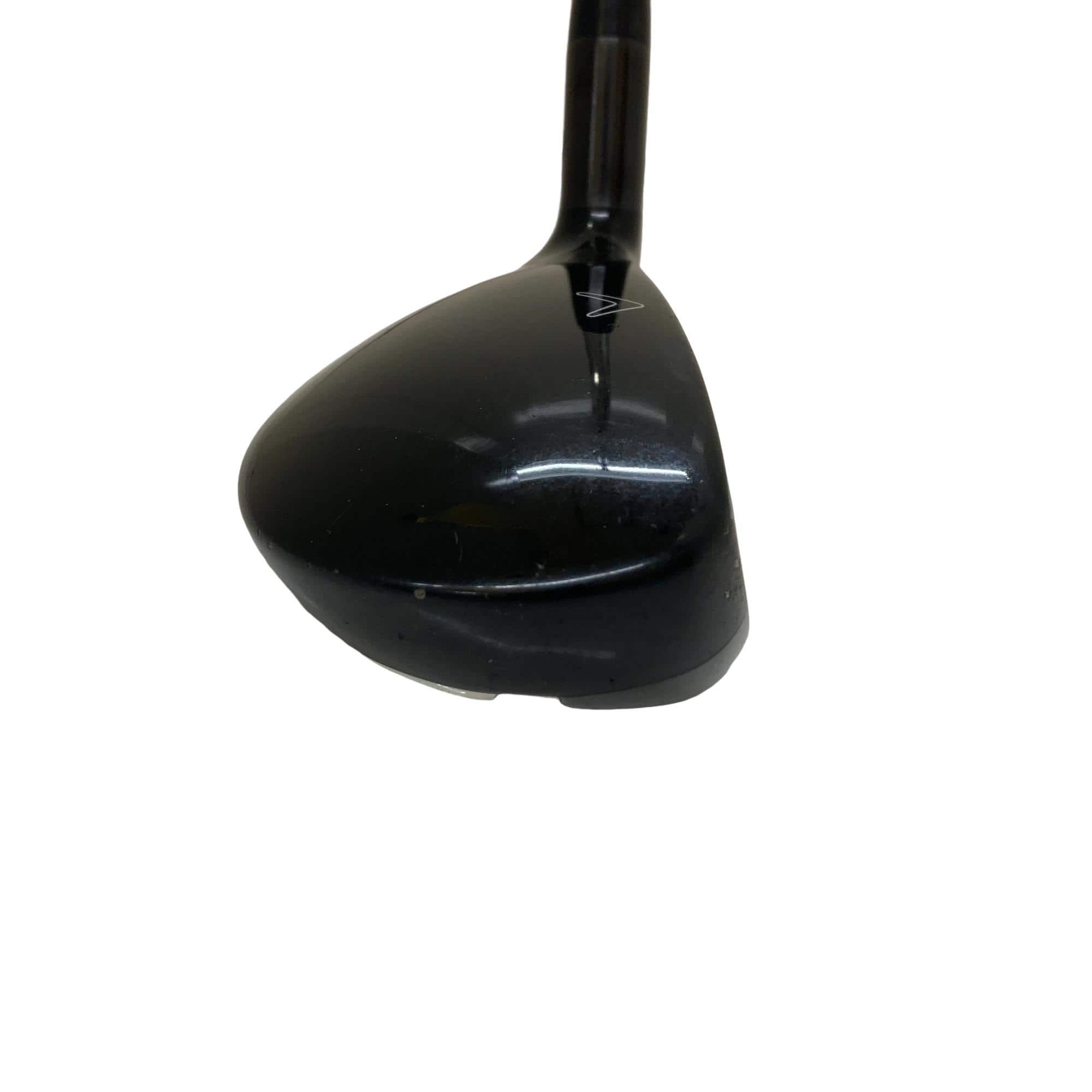 �w�Q�@�g�n�s�@�t�R