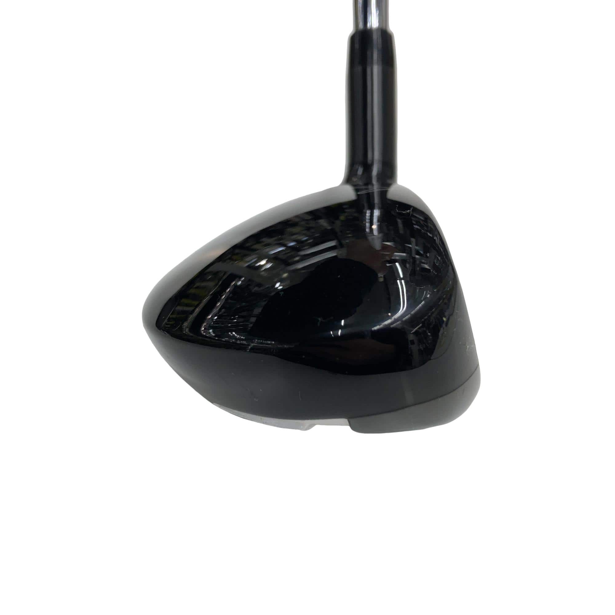 �w�Q�@�g�n�s�@�t�R