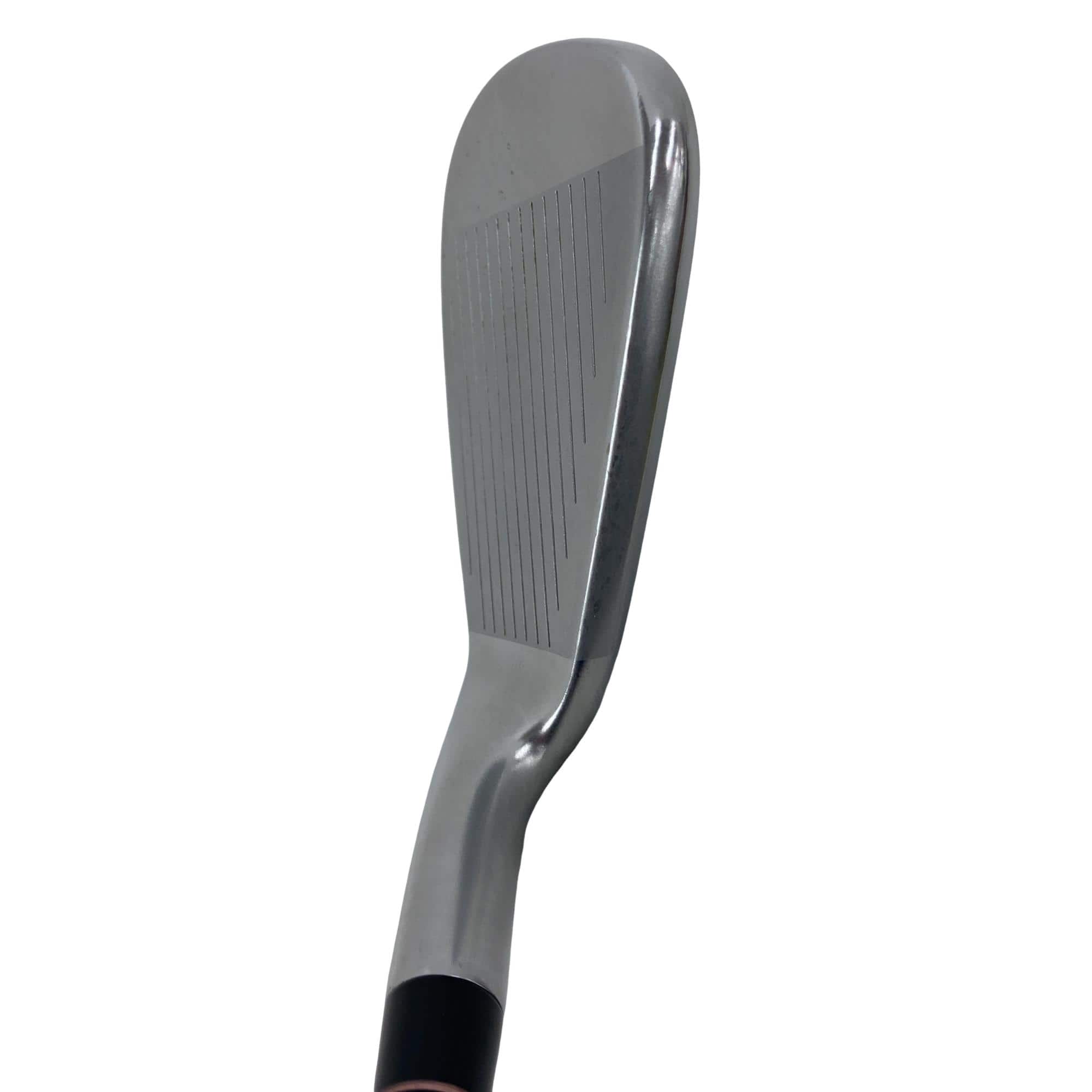 �q�X�@�l�`�w�@�T�r�@���f�B�[�X�i���{���F�T�{�Z�b�g�j