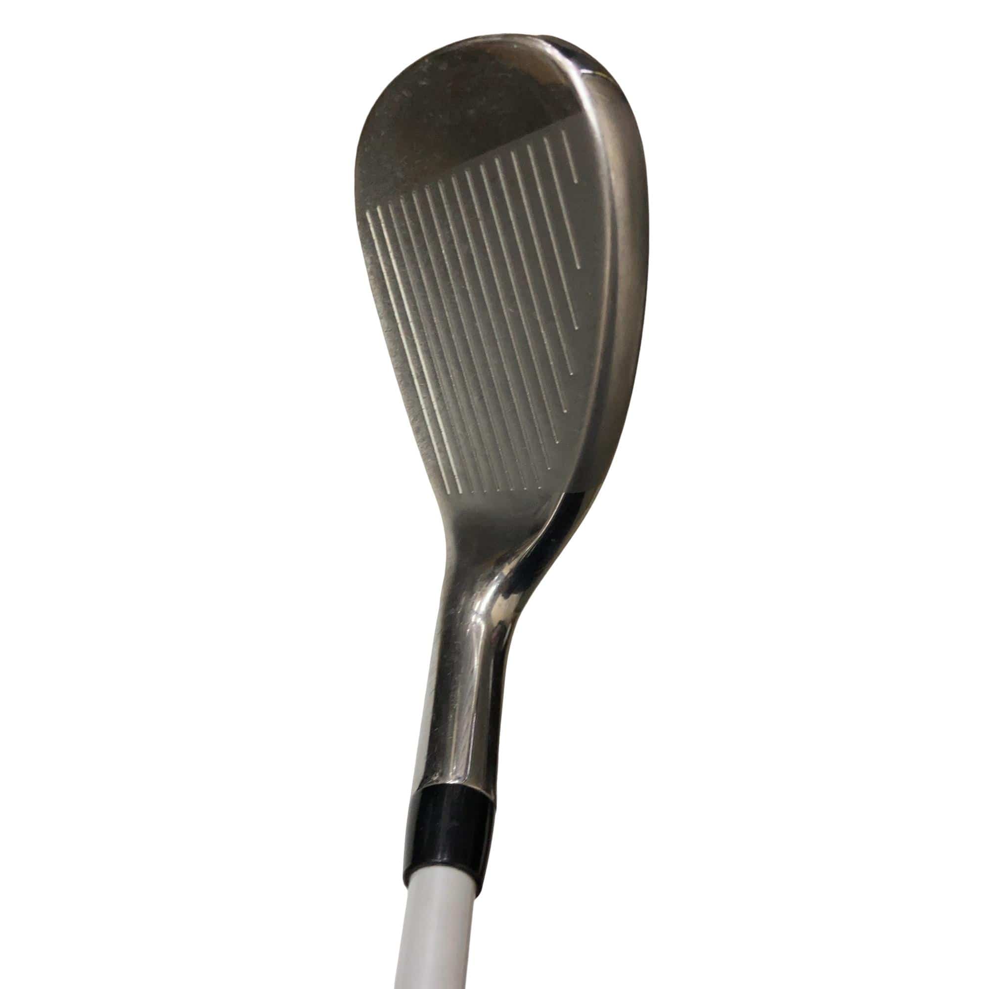 �q�n�f�t�d�@�r�s�`�q�@�T�r�@���f�B�[�X�i���{���F�T�{�Z�b�g�j