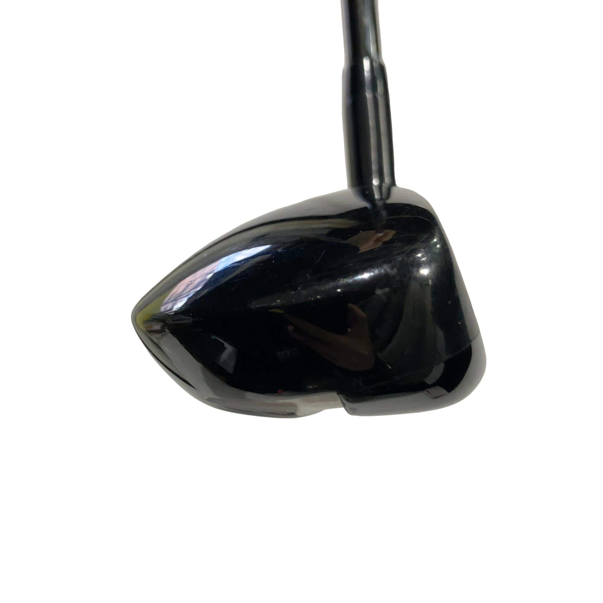 �w�Q�@�g�n�s�@�t�R