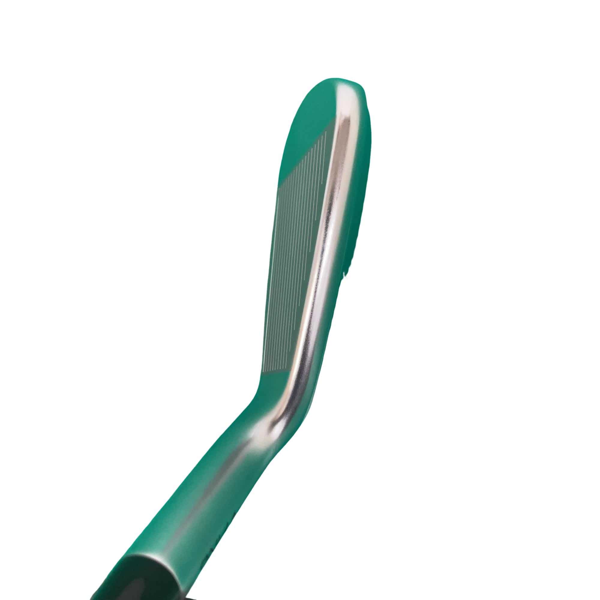 ���T�R�O�@�U�r�i���{���F�U�{�Z�b�g�j