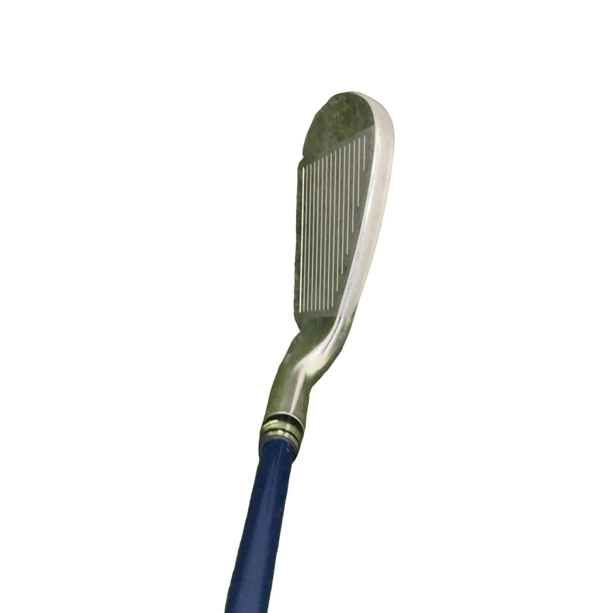 �w�w�h�n�i�Q�O�P�S�j�@�W�r�@���f�B�[�X�i���{���F�W�{�Z�b�g�j