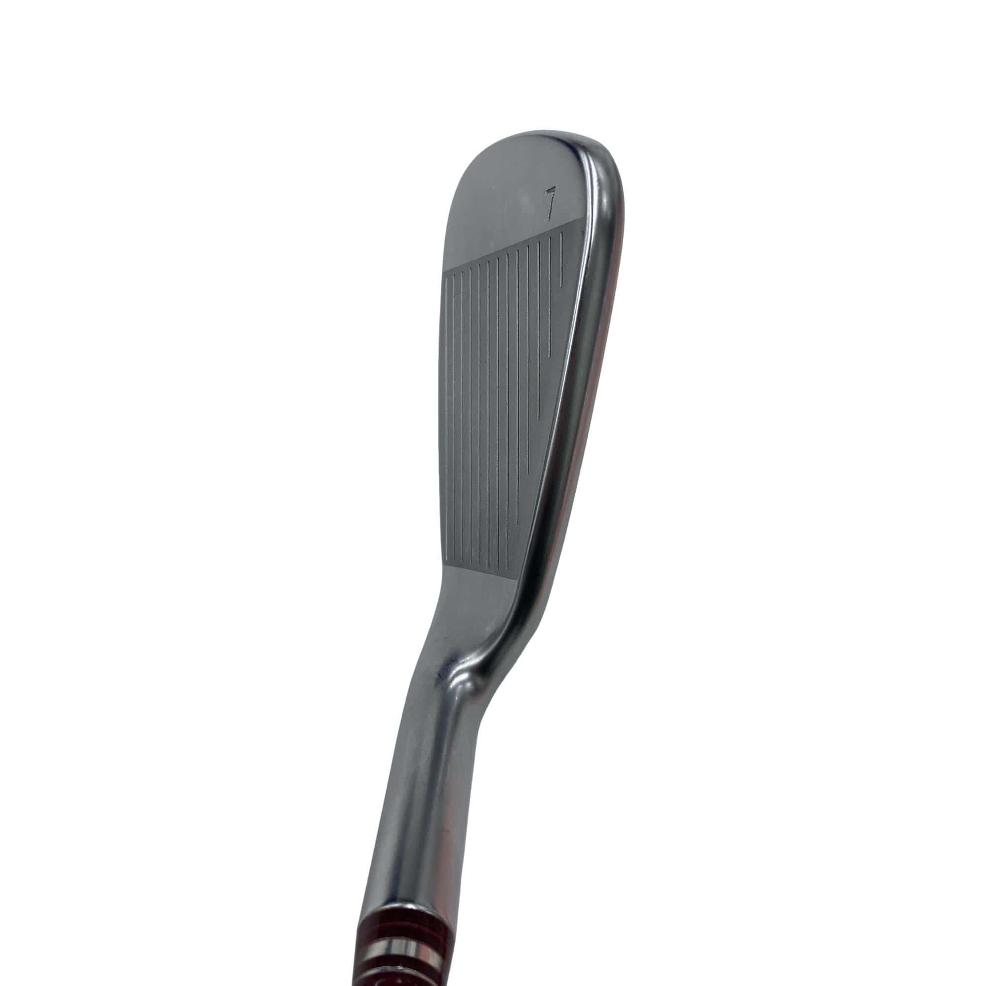 �f�@�k���Q�@�T�r�@���f�B�[�X�i���{���F�T�{�Z�b�g�j