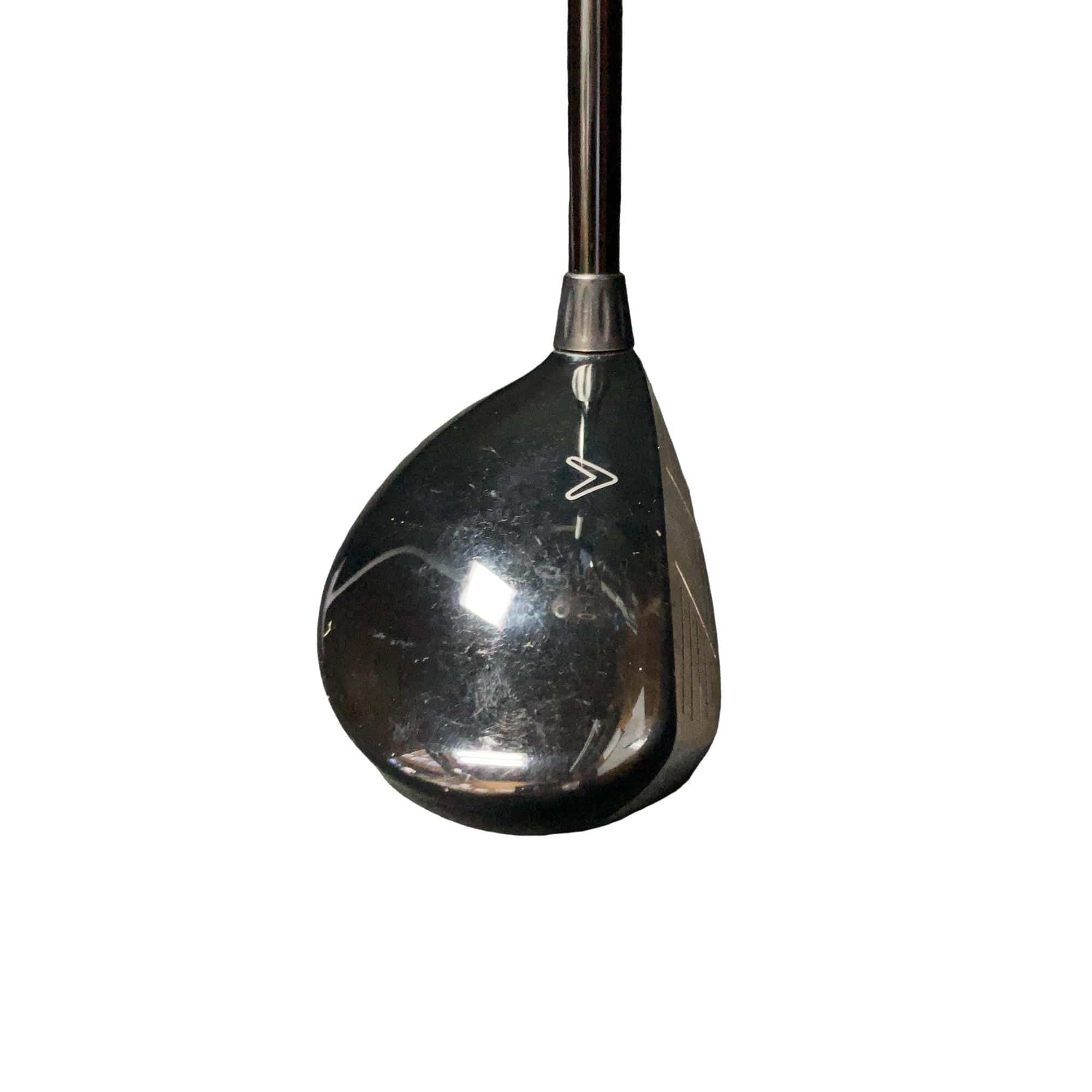 �w�@���[�e�B���e�B�@�R�g�@�t�r�`