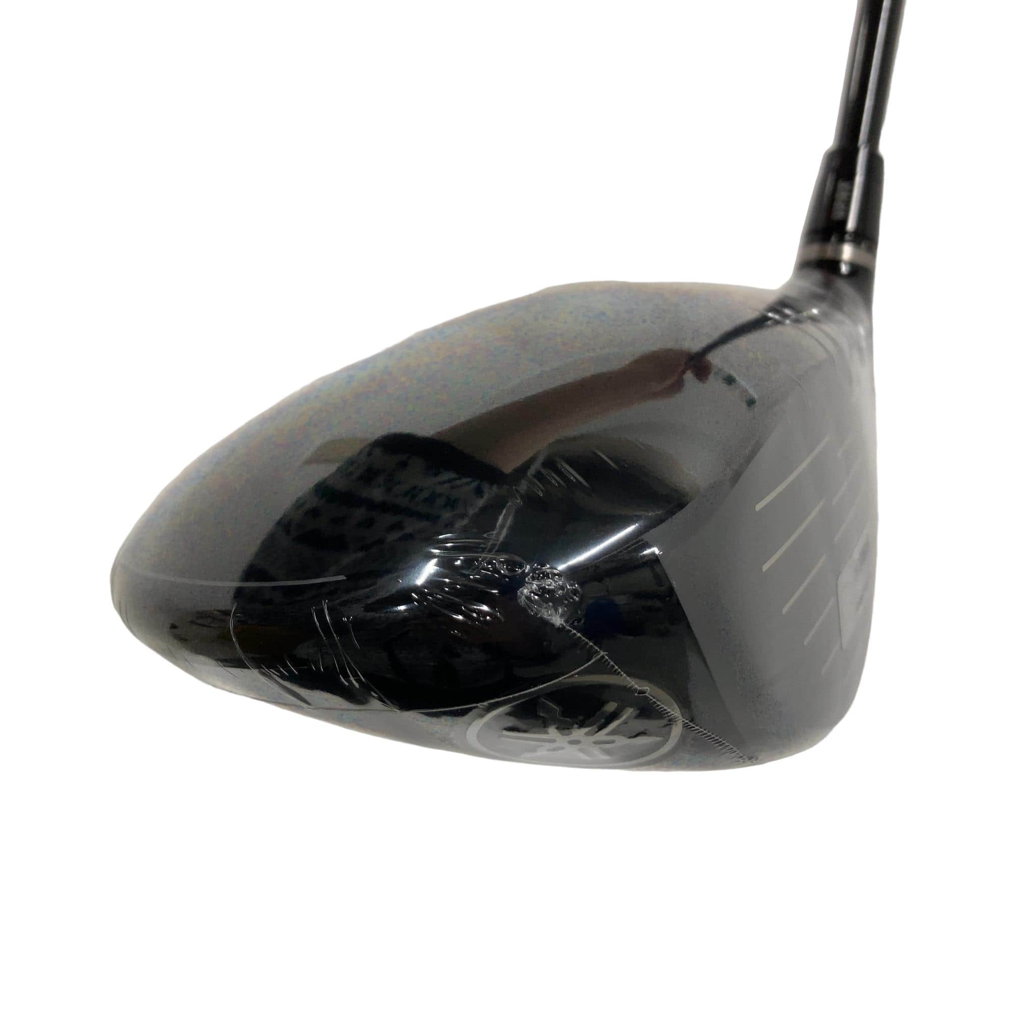 �q�l�w�@�u�c�^�l�i�Q�O�Q�S�j�@�P�O�D�T°