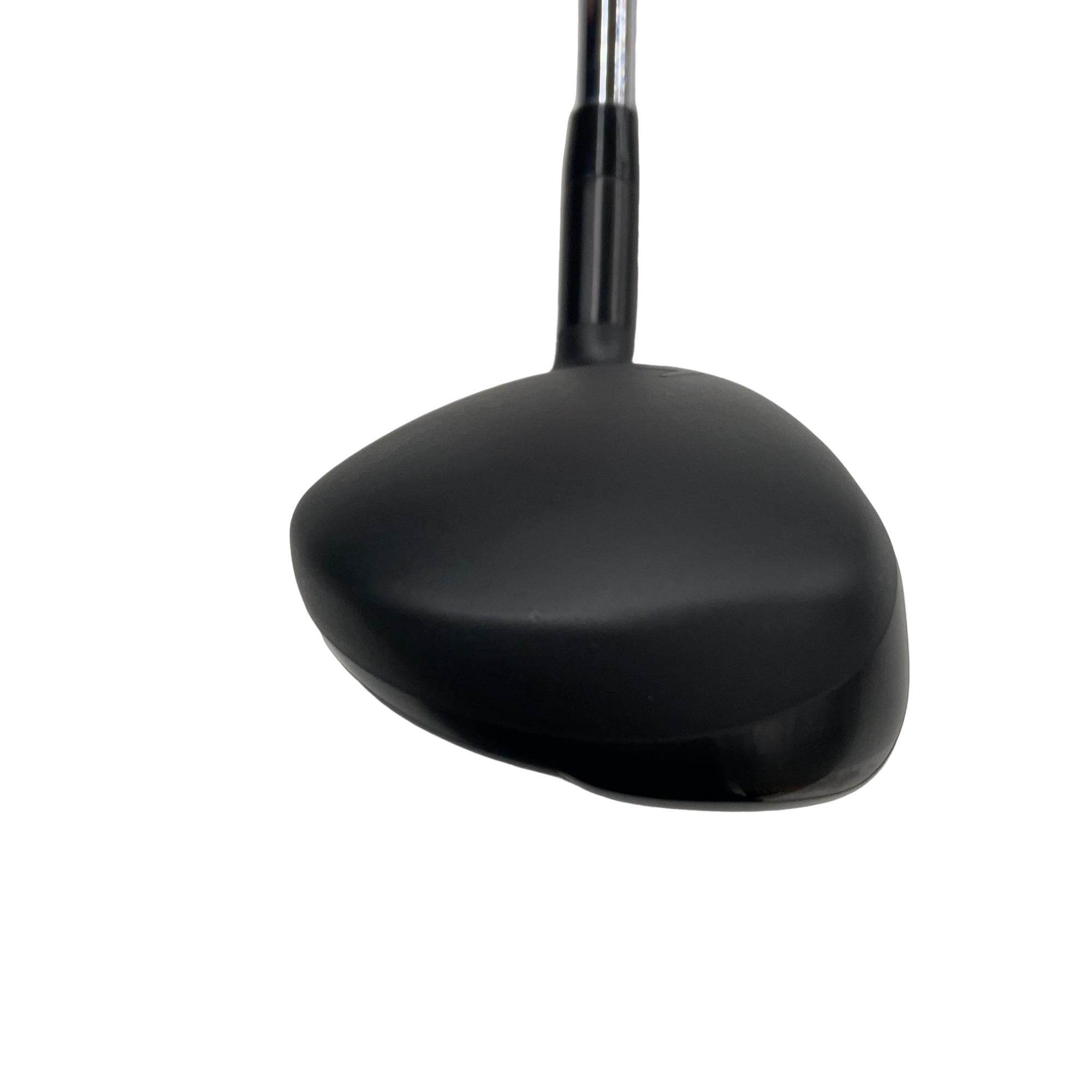 �w�q�@�P�U�@�n�r�@�t�R