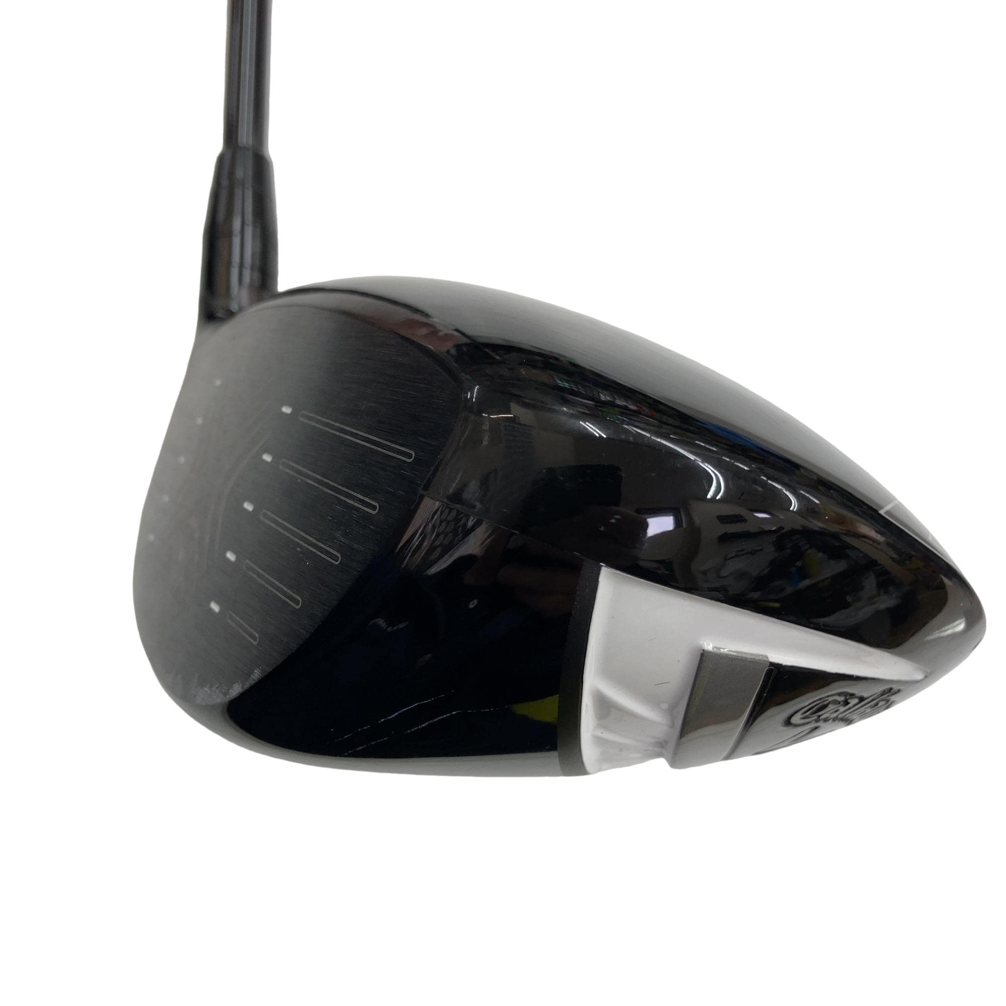 �w�Q�@�g�n�s�@�P�O�D�T°�@���t�e�B