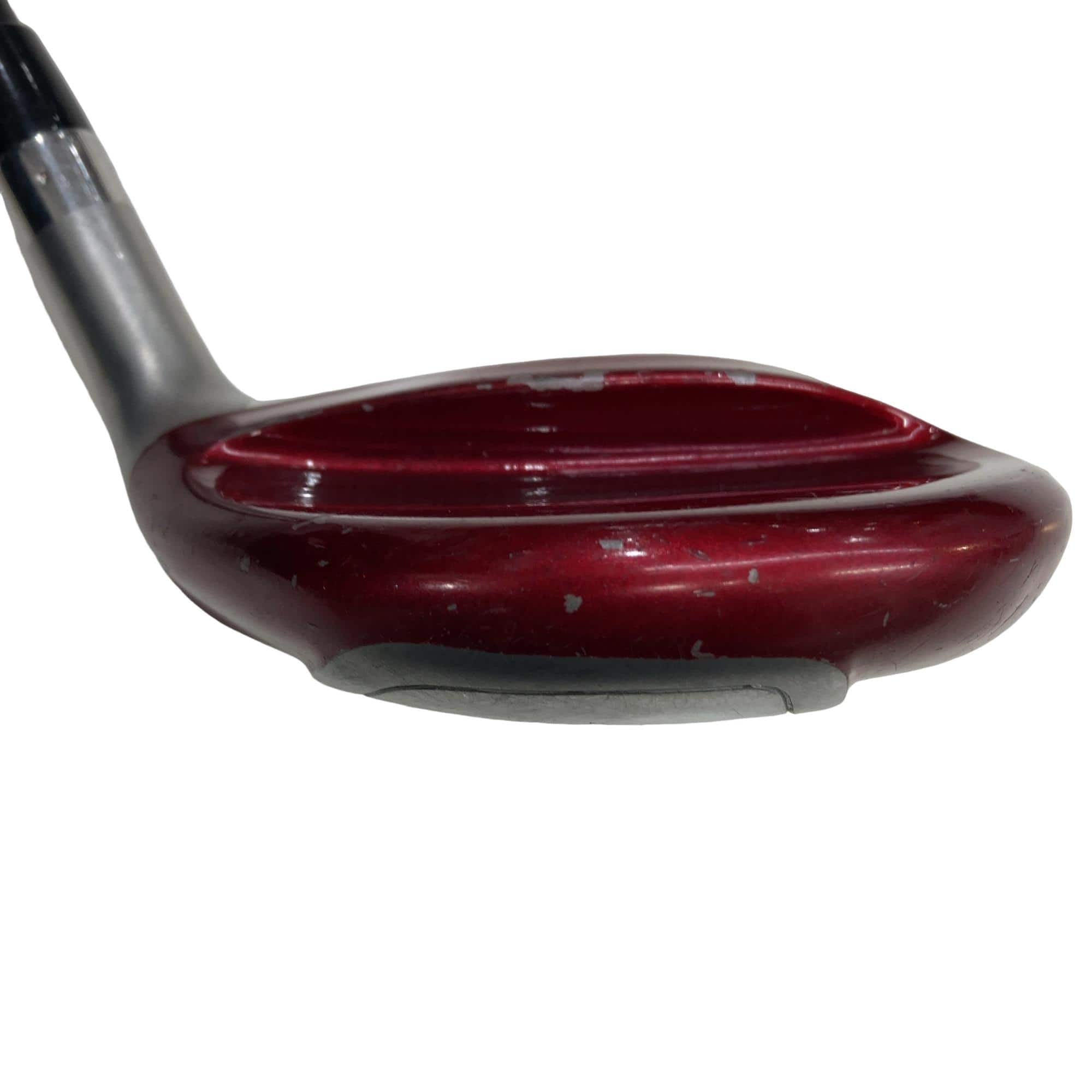 �b�o�q�@�v�������@�P�W°