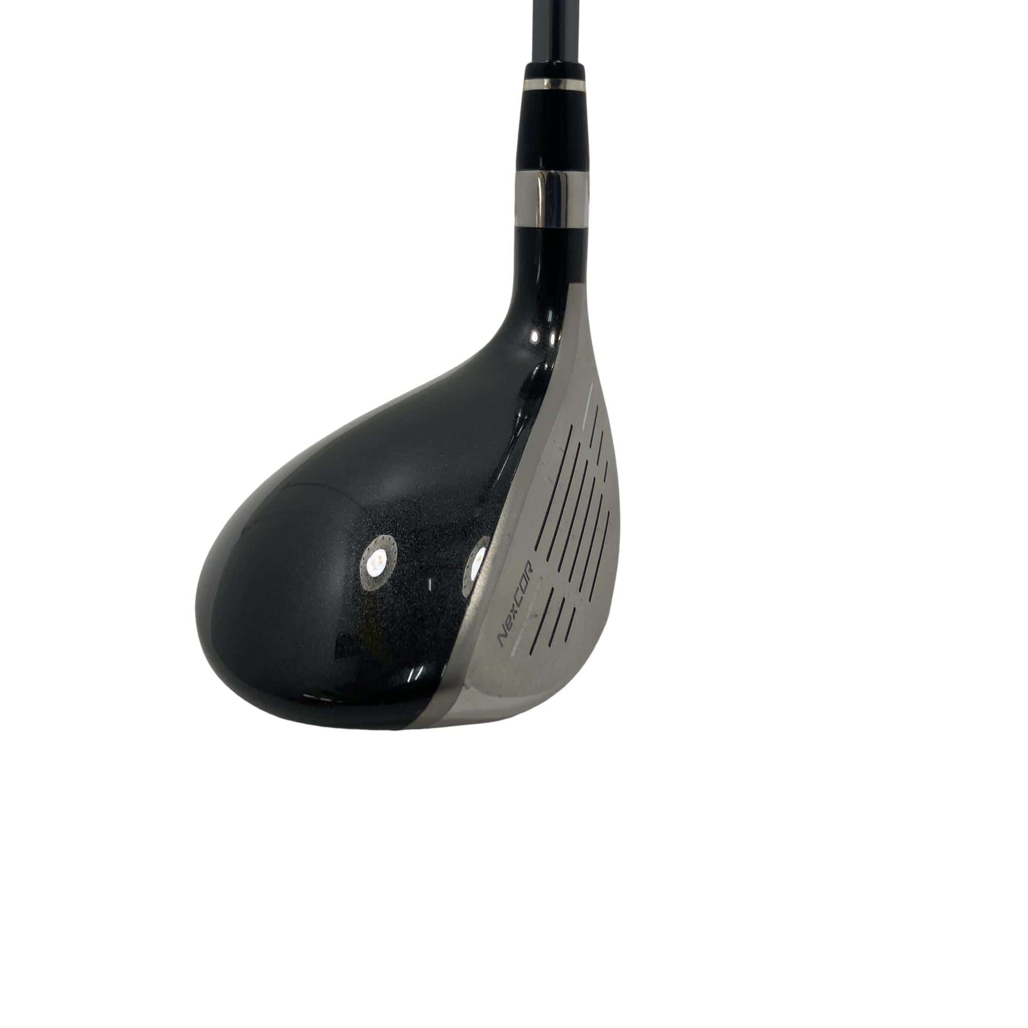 �u�q�Q�r�@���[�e�B���e�B�@�t�S