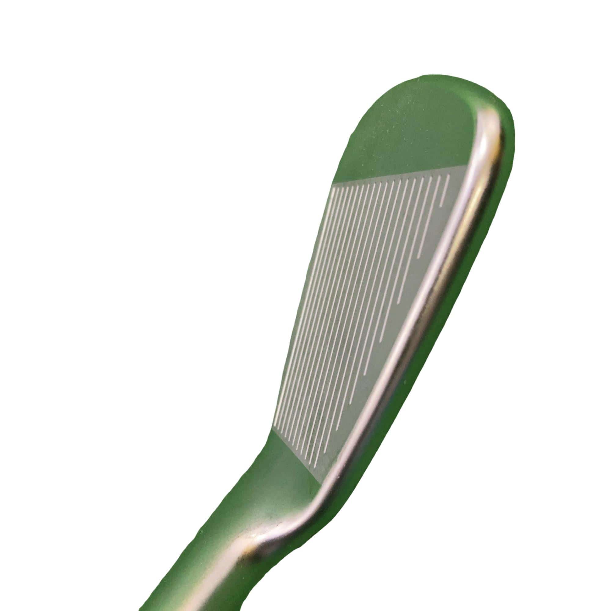 ���Q�R�O�@�V�r�i���{���F�V�{�Z�b�g�j