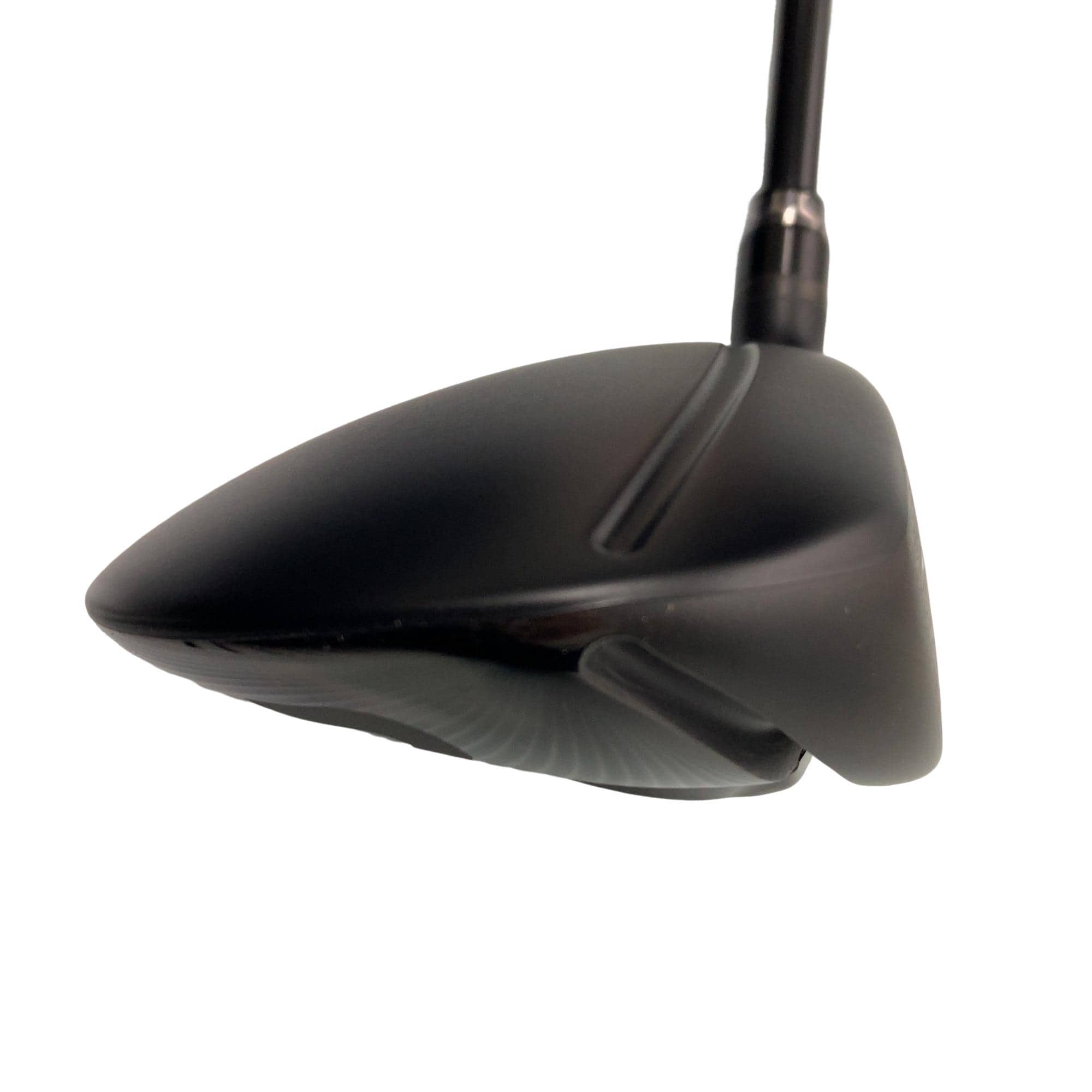 �q�n�c�c�h�n�@�t�F�A�E�F�C�E�b�h�i�Q�O�Q�S�j�@�u���b�N�@�r���������i�j���[�g�����\�[���j