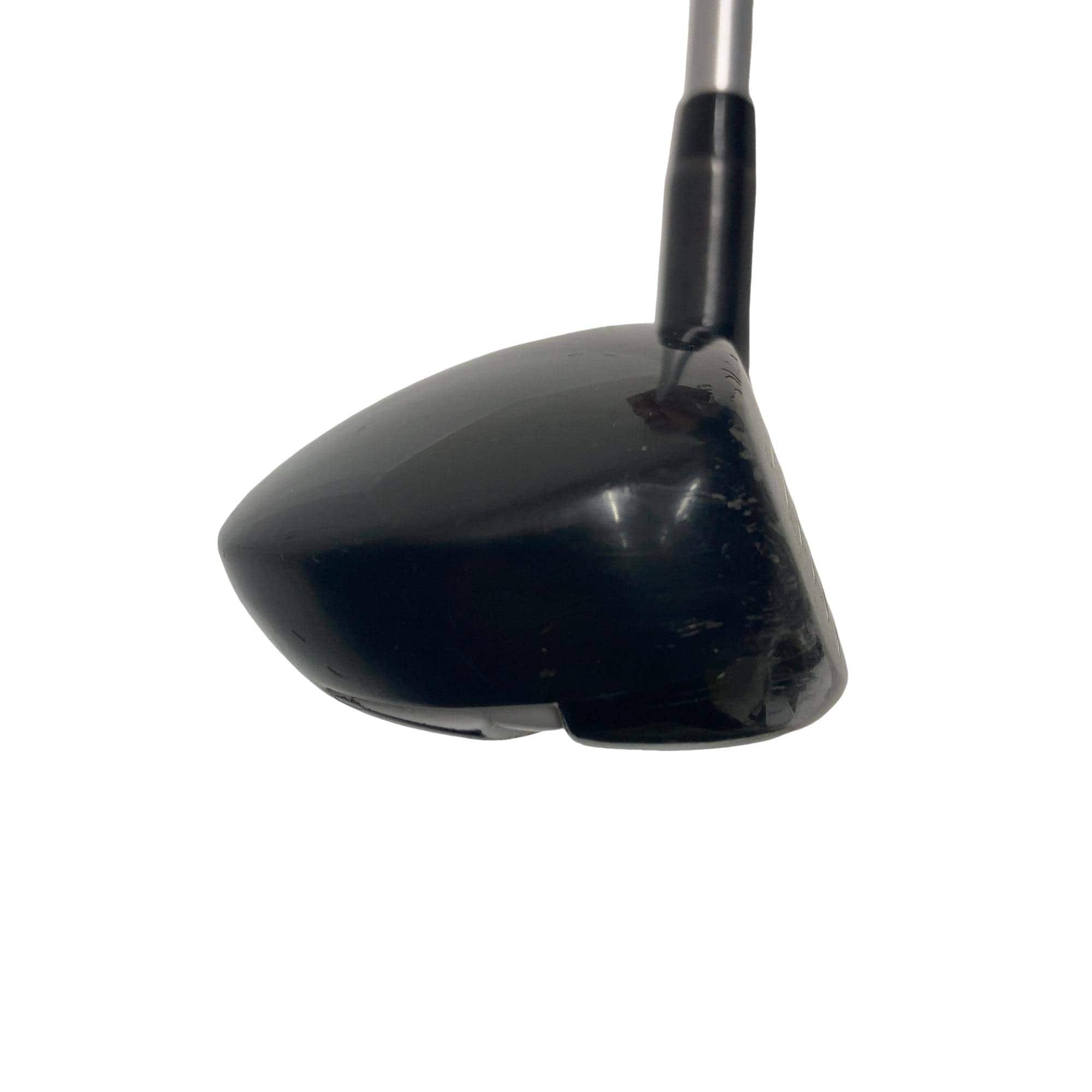 �w�Q�@�g�n�s�@�t�T�@���f�B�[�X