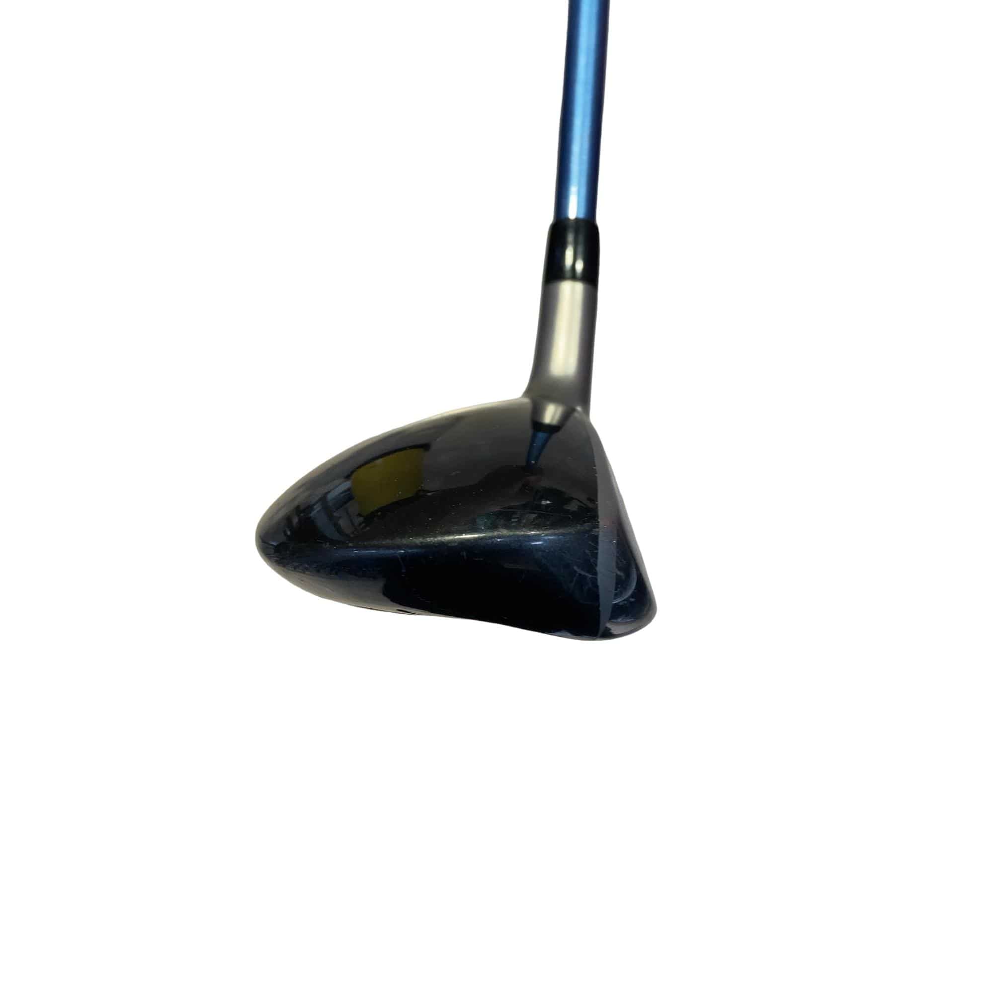 �a�q�|�w�@�_�[�N�O���[�@�t�T�@���f�B�[�X