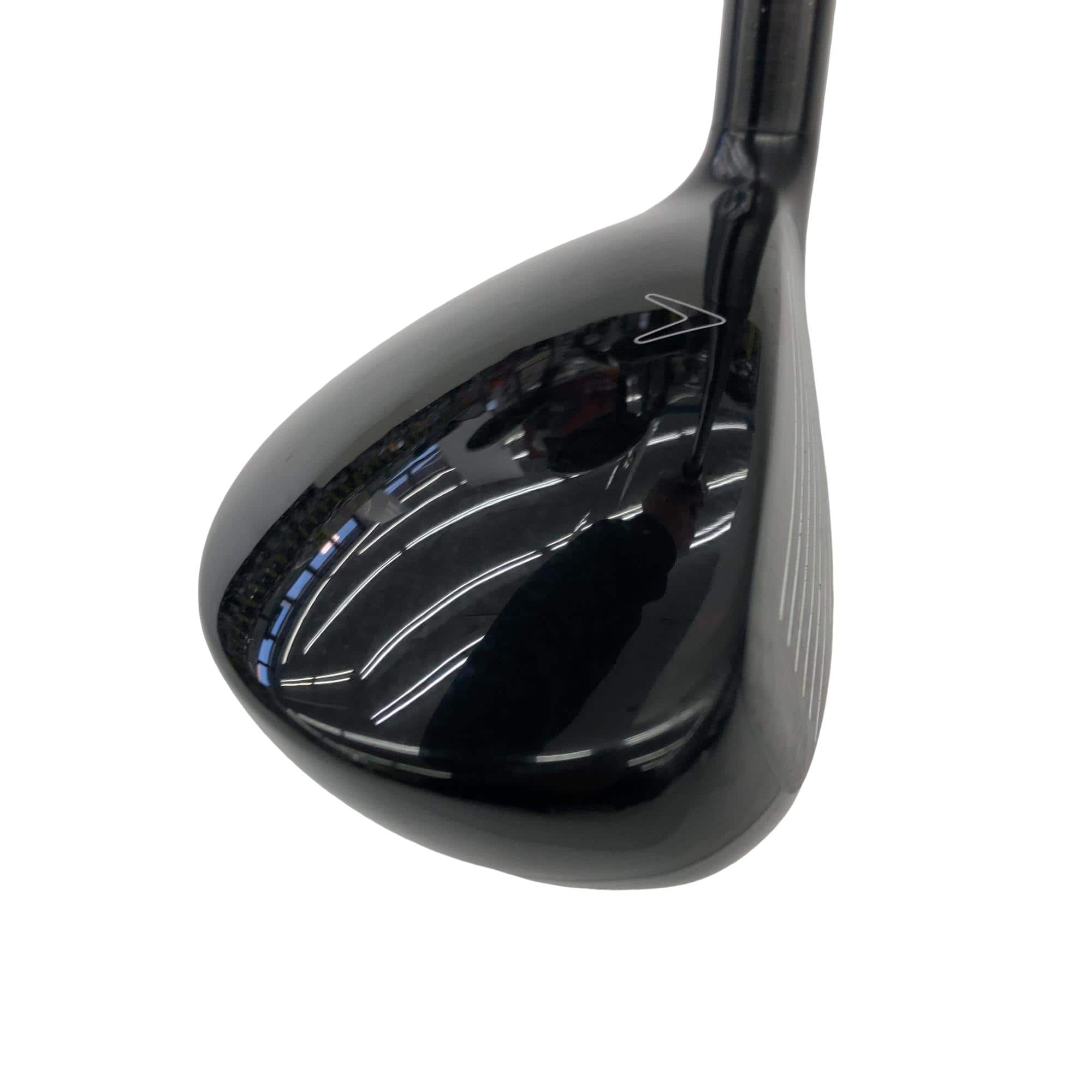 �w�Q�@�g�n�s�@�t�R