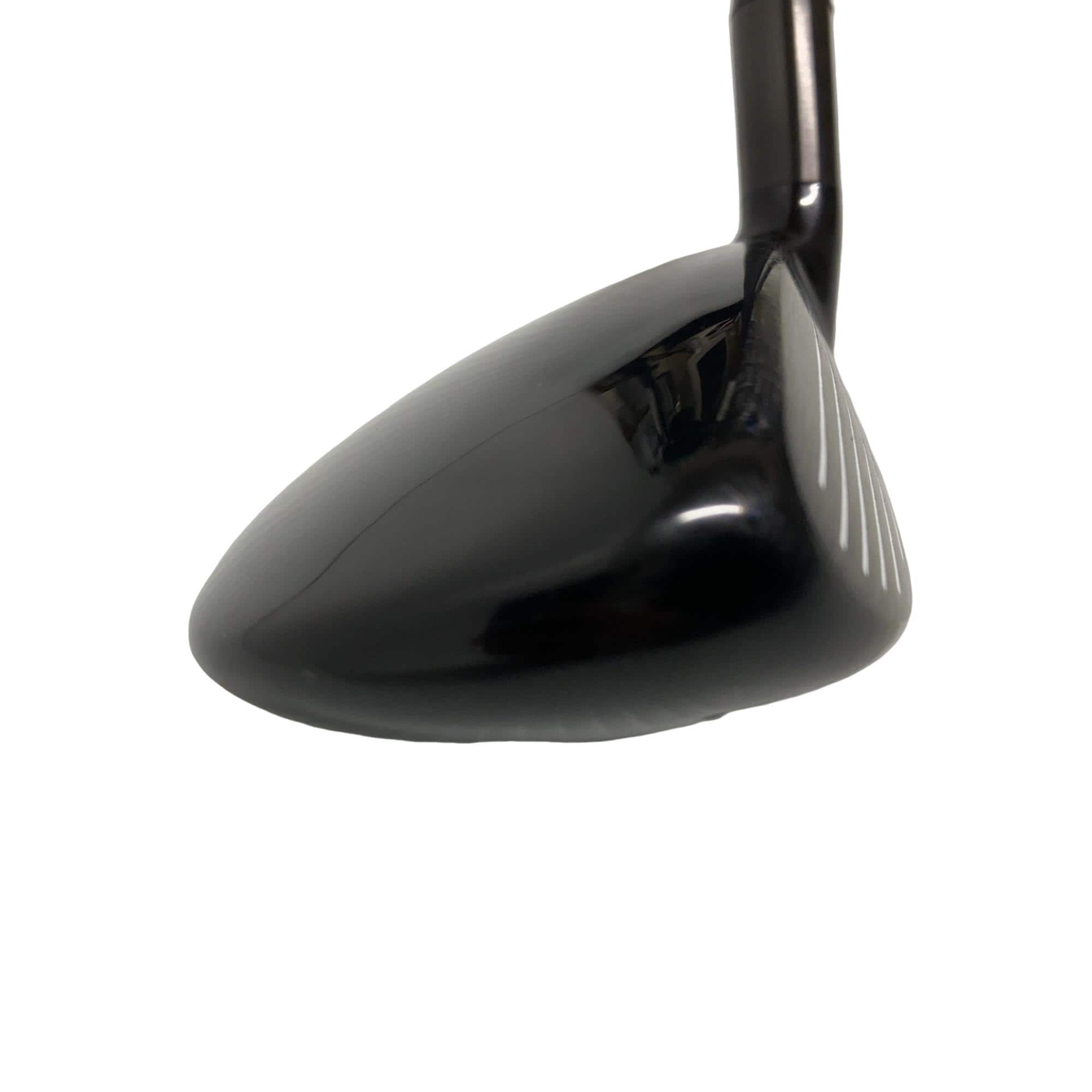 �w�@�g�n�s�@�t�S