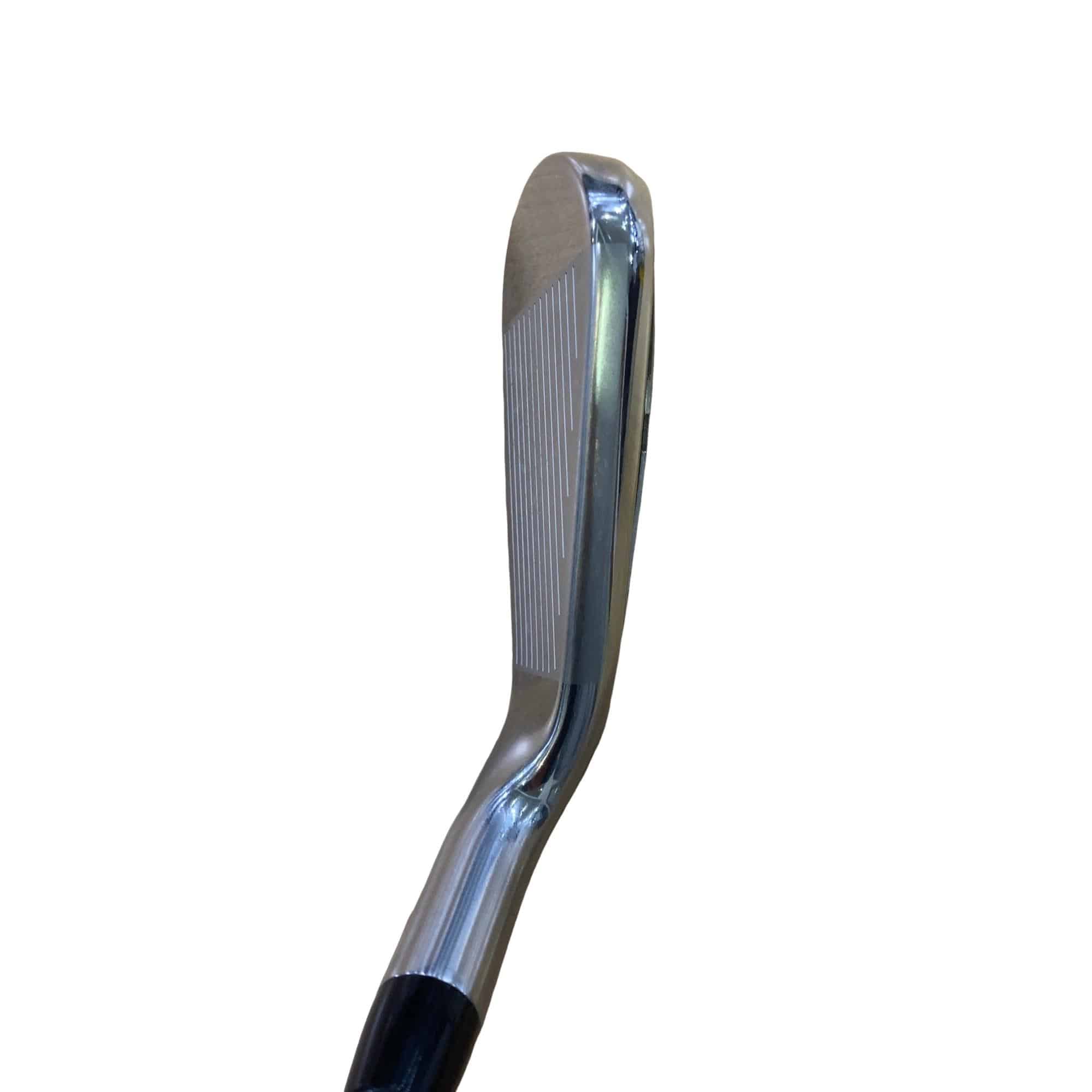 �s���������������@�s�R�O�O�i�Q�O�Q�P�j�@�U�r�i���{���F�U�{�Z�b�g�j