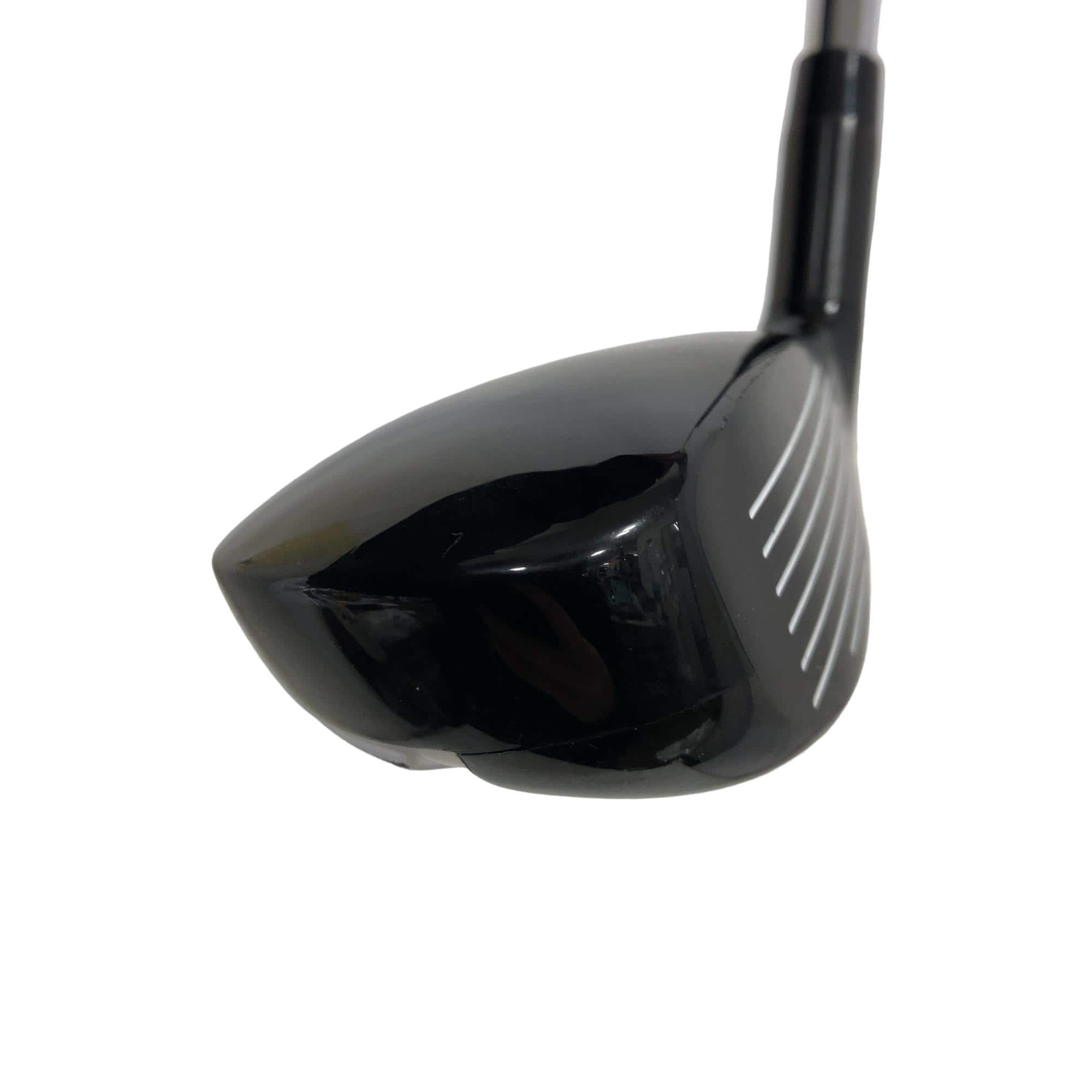 �w�Q�@�g�n�s�@�t�R