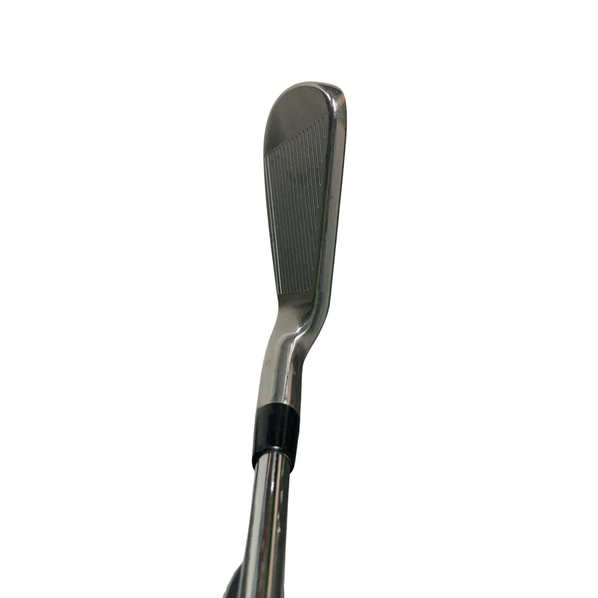 �w�@�g�n�s�@�o�q�n�@�U�r�i���{���F�U�{�Z�b�g�j