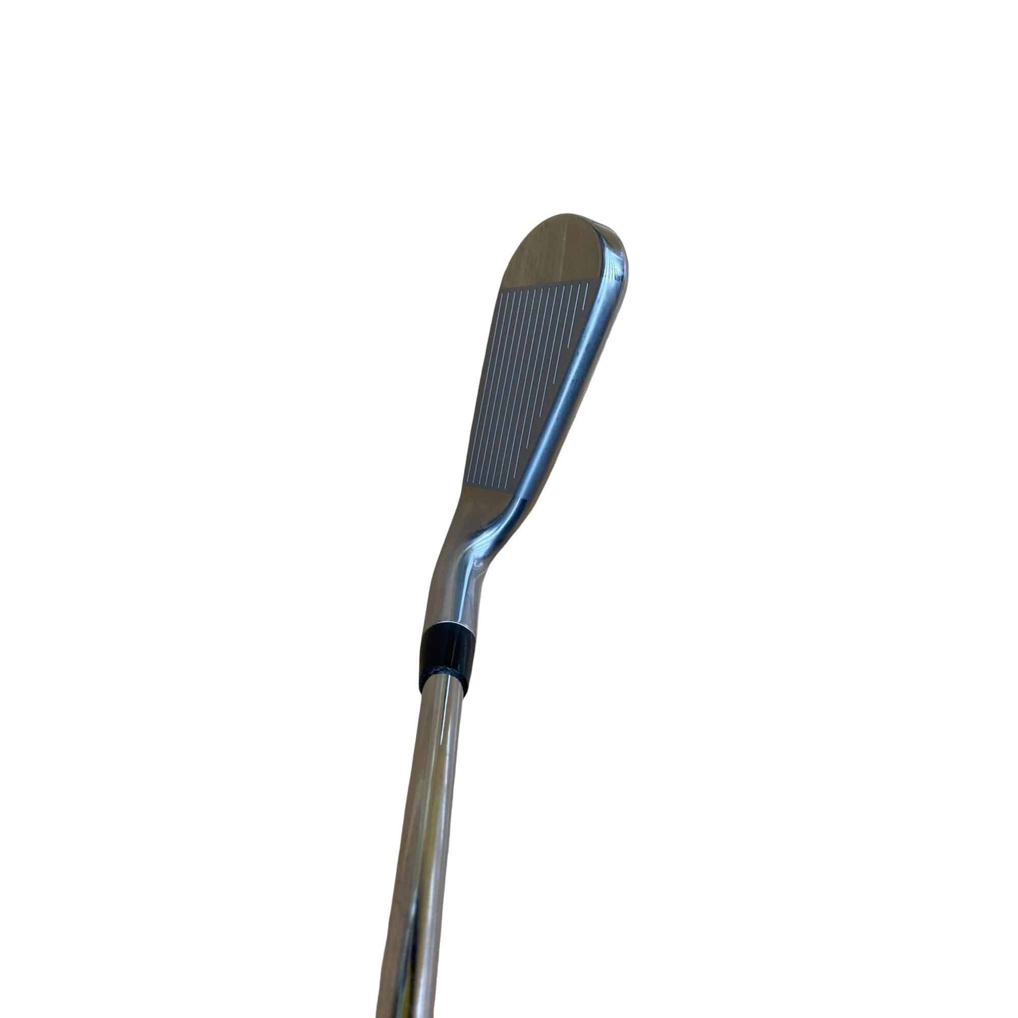 �s���������������@�s�R�O�O�i�Q�O�Q�P�j�@�U�r�i���{���F�U�{�Z�b�g�j