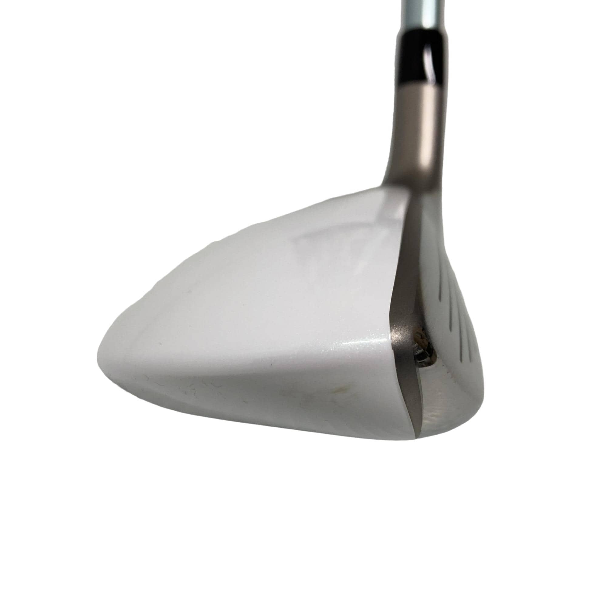 �a�q�|�w�@�t�T�@���f�B�[�X