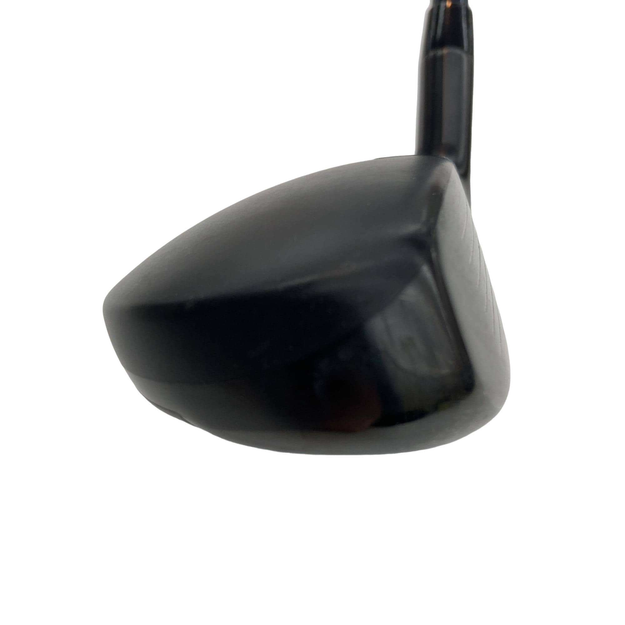 �w�q�@�P�U�@�n�r�@�t�R