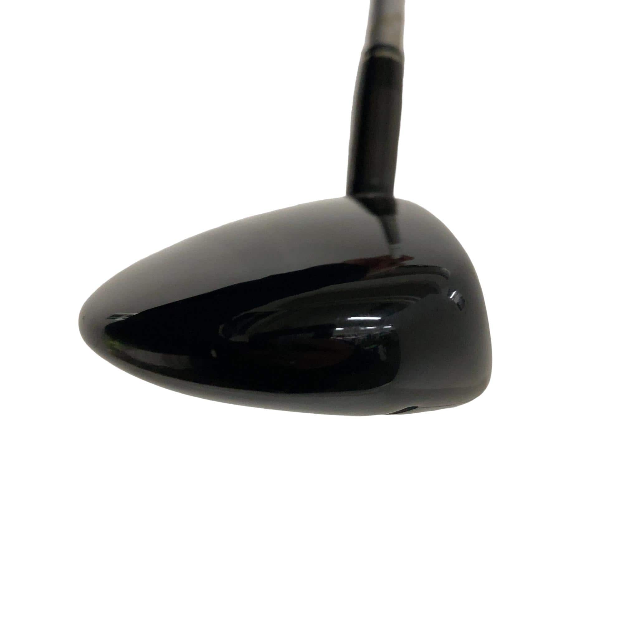 �w�@�g�n�s�@�t�T