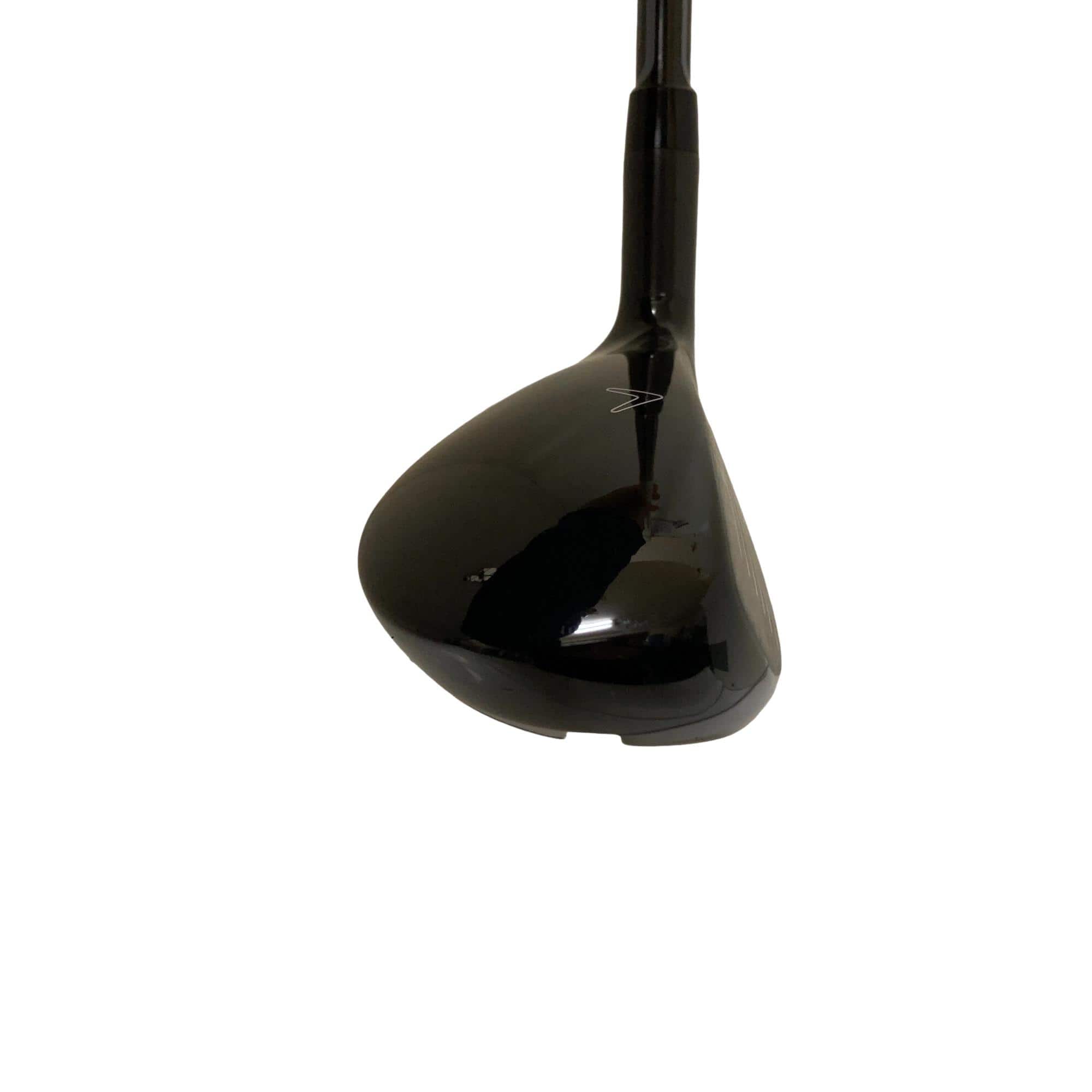 �w�Q�@�g�n�s�@�t�T