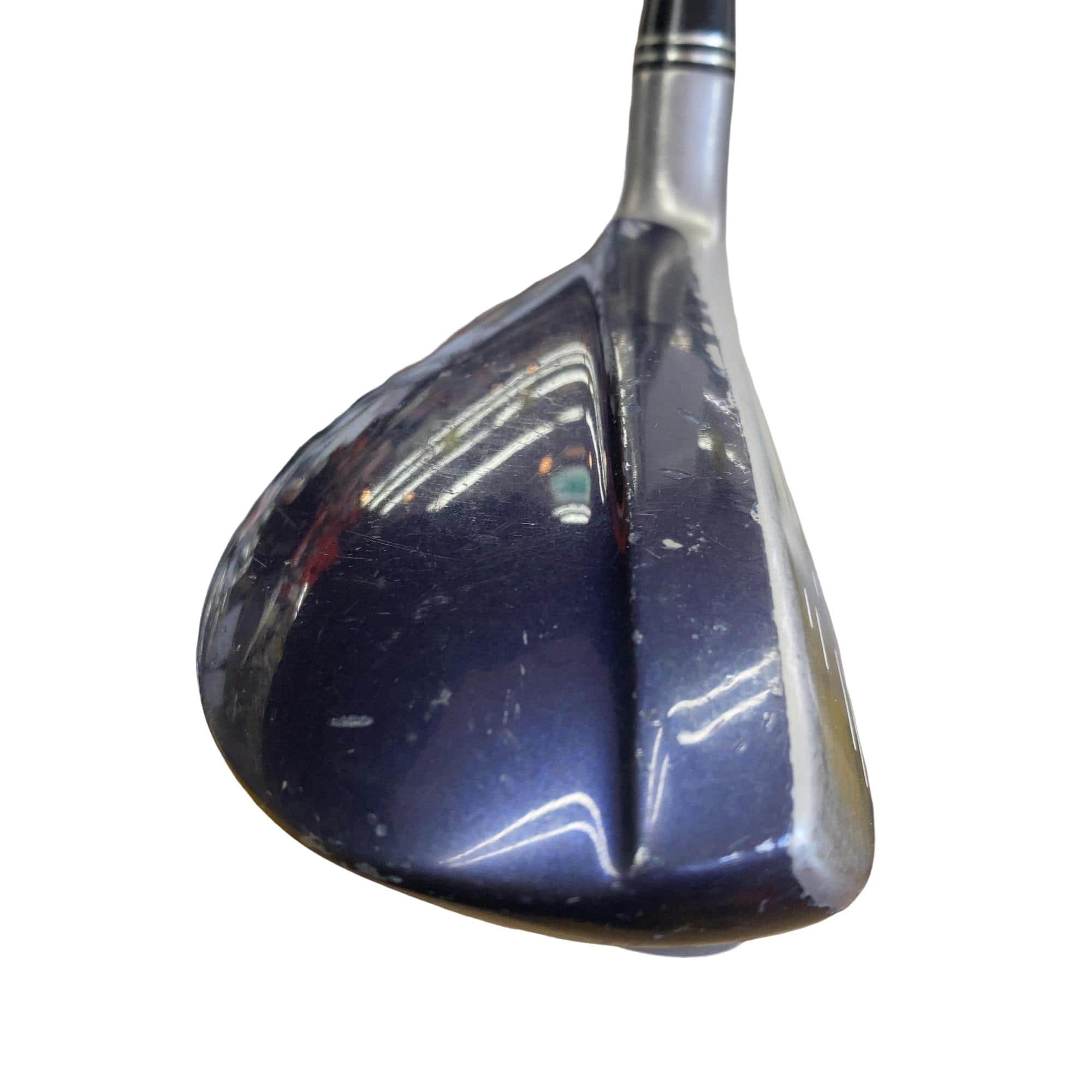 �w�w�h�n�i�Q�O�P�U�j�@�t�U�@���f�B�[�X