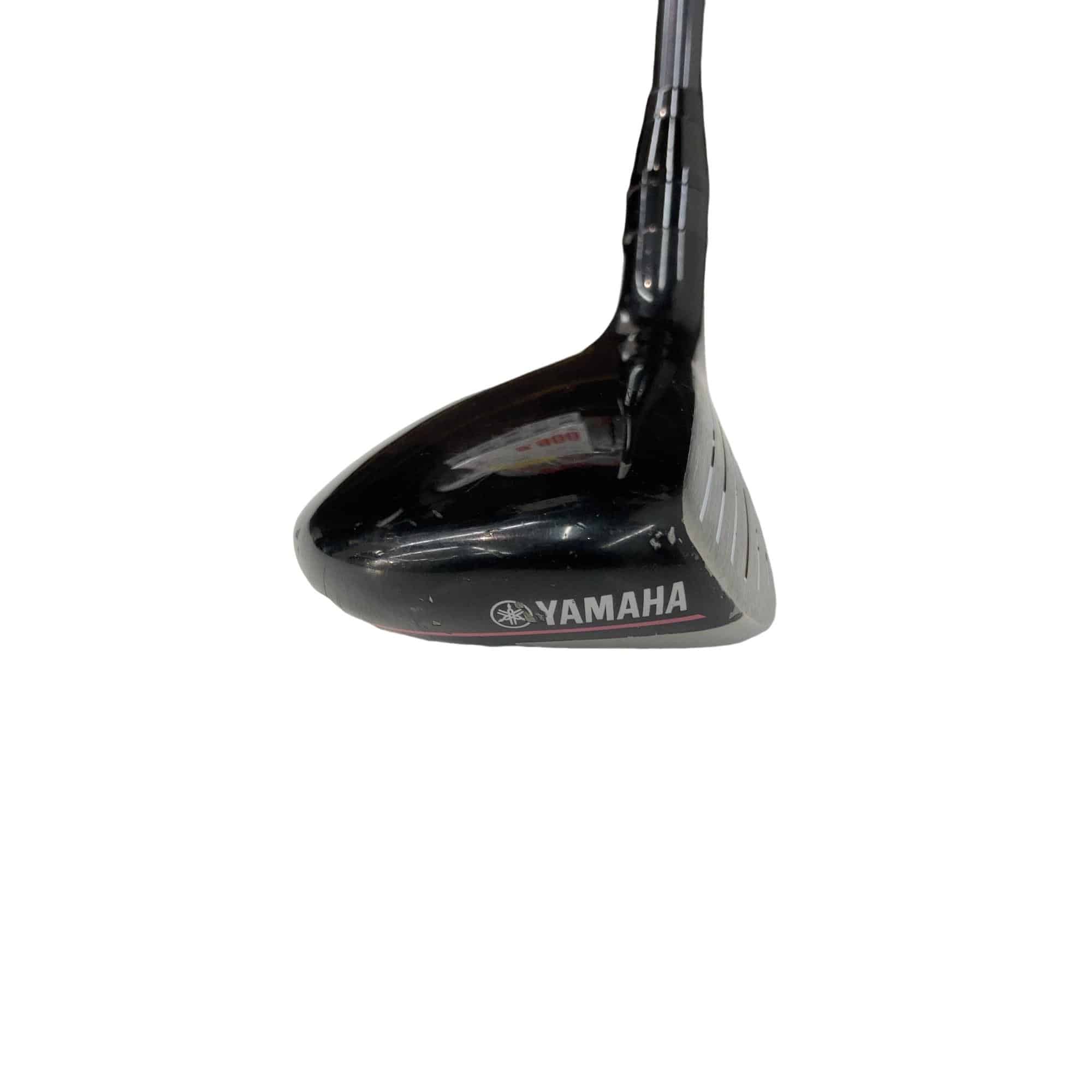 �������������@�q�l�w�@�t�T�{�@���f�B�[�X