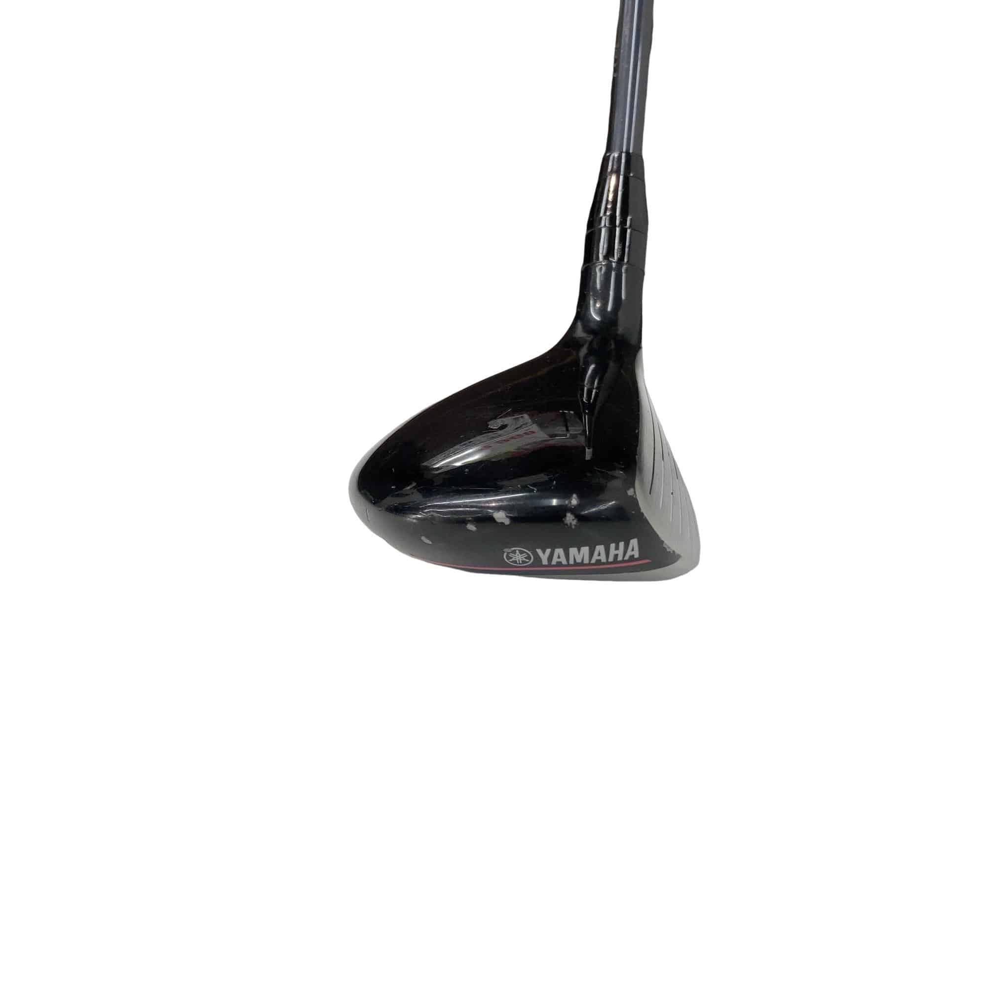 �������������@�q�l�w�@�t�U�{�@���f�B�[�X