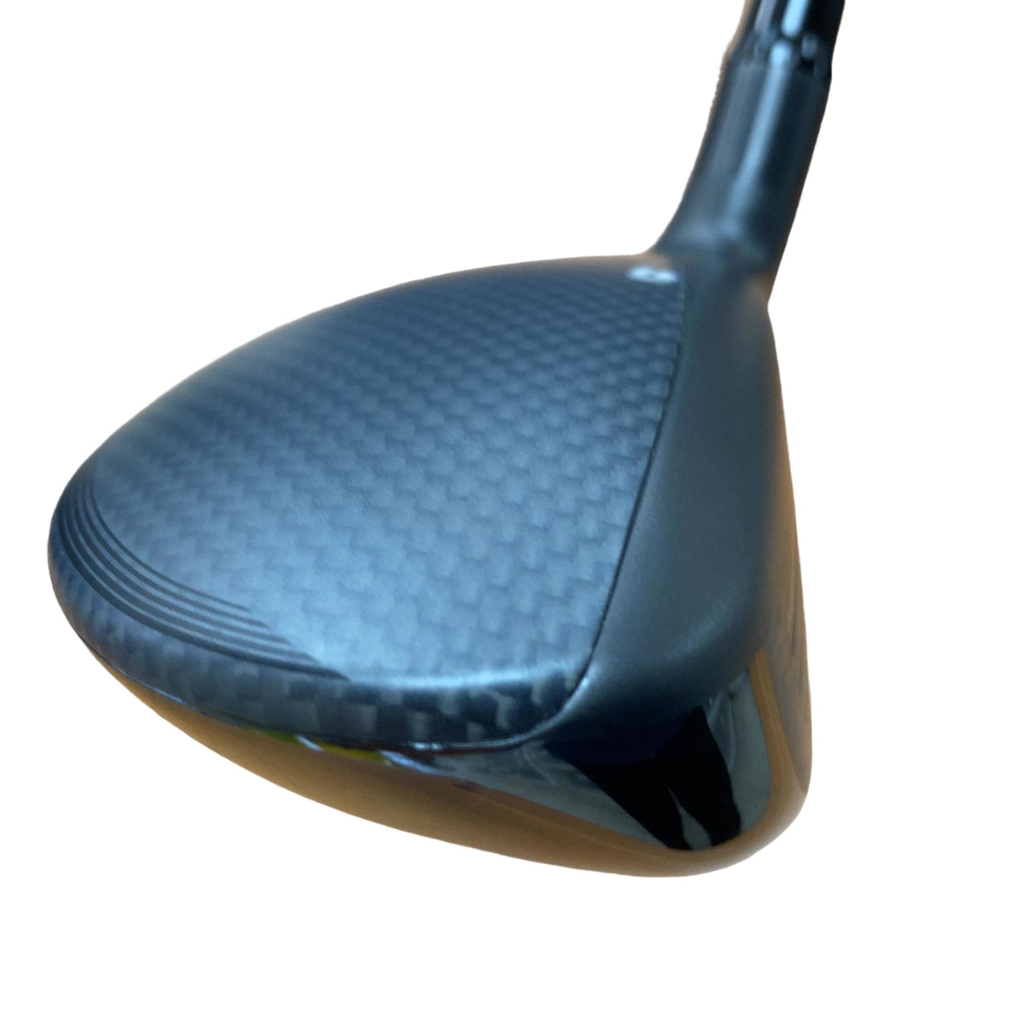 �p���R�T�@�t�T